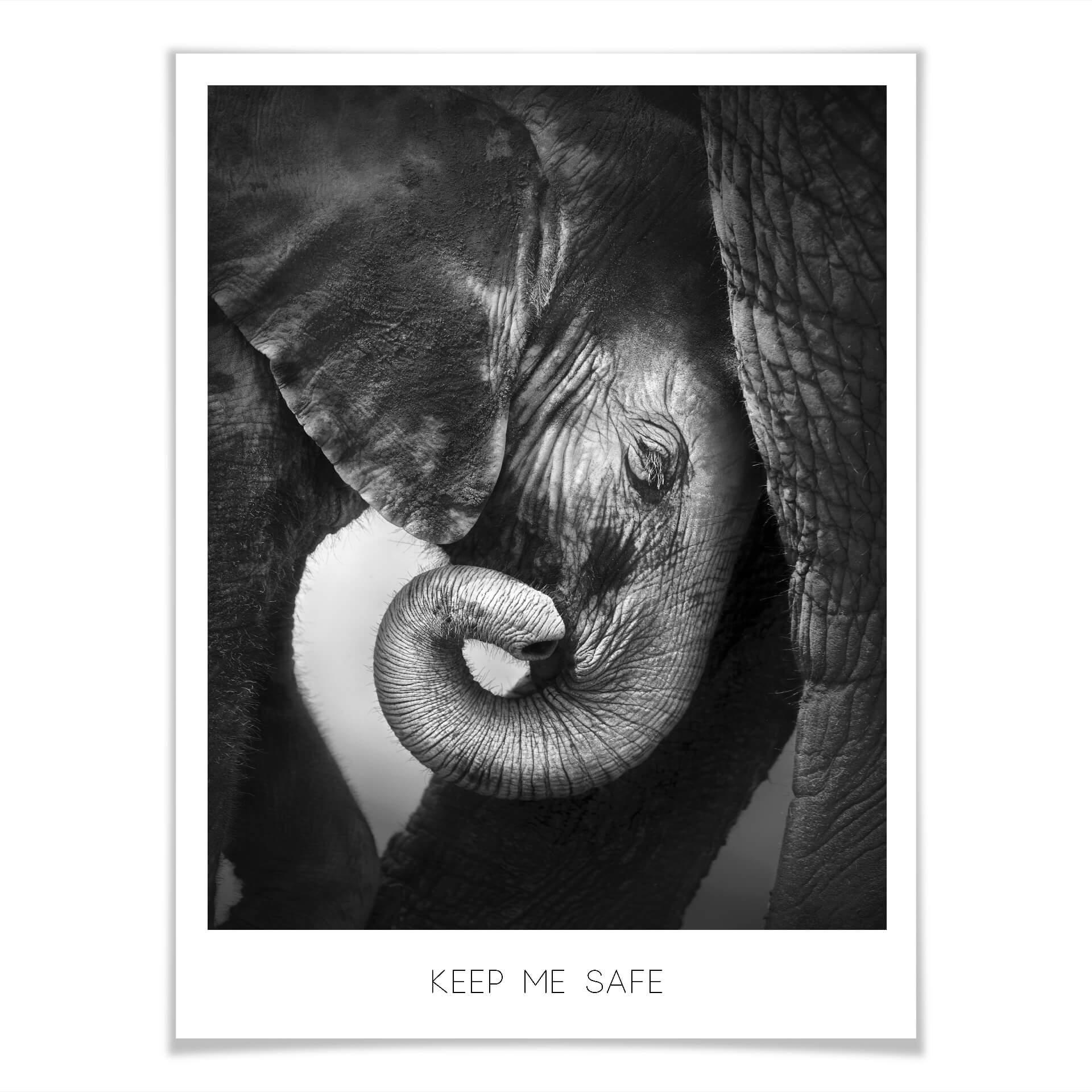 Plakat - Elefantbaby - Keep me safe