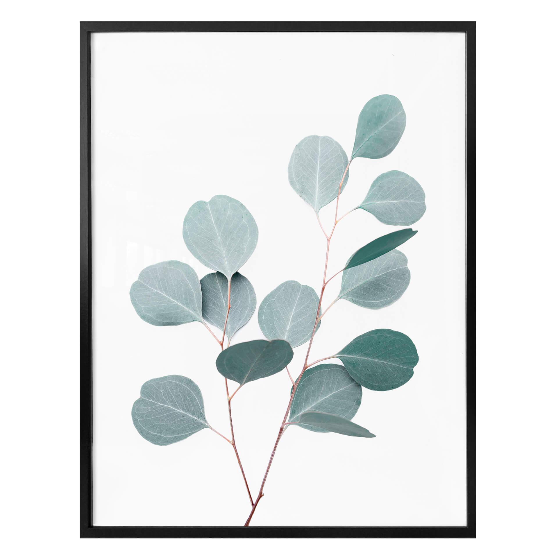 Plakat - Sisi & Seb - Blå eucalyptus
