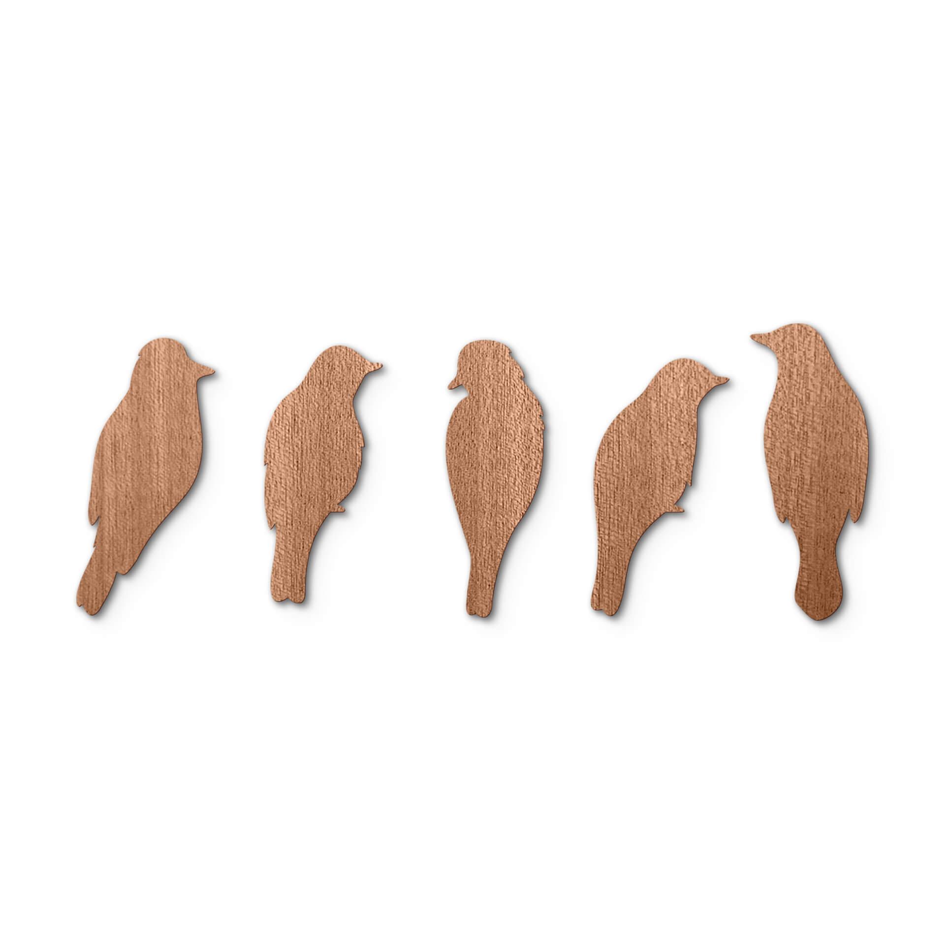 Houten Wanddecoratie Mahoniefineer Familie Vogel (5-delig)