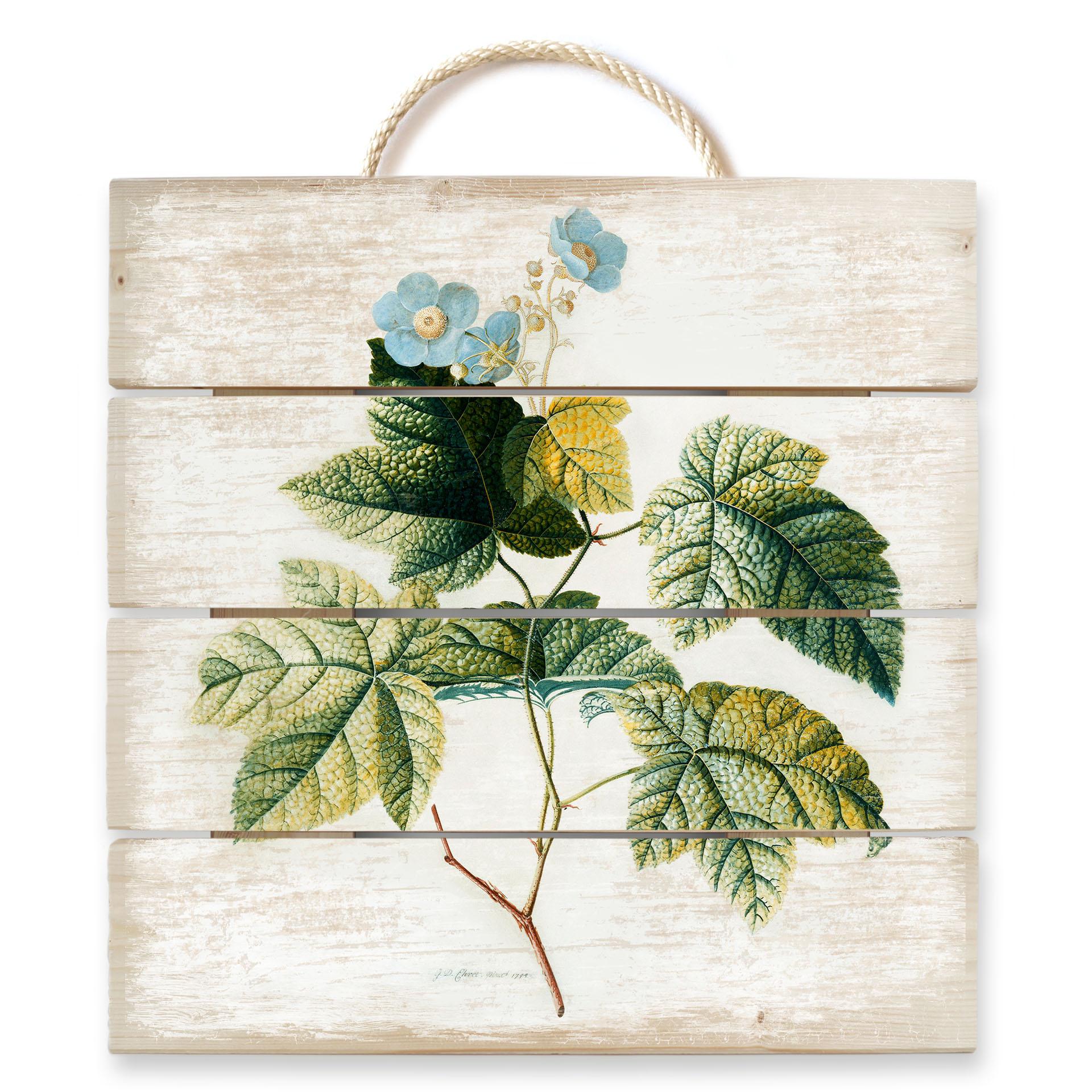 Cuadro de madera Ehret - Rubus - 40x41,5 cm