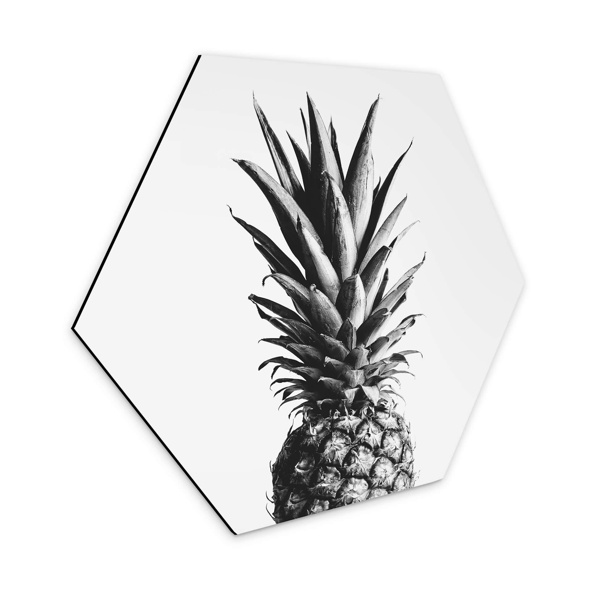 Hexagone - Alu-Dibond 1X Studio - Ananas