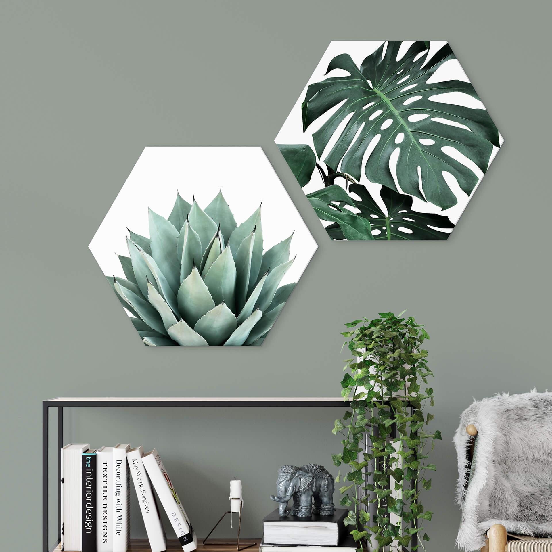 Hexagon Dibond Sisi & Seb - Succulents