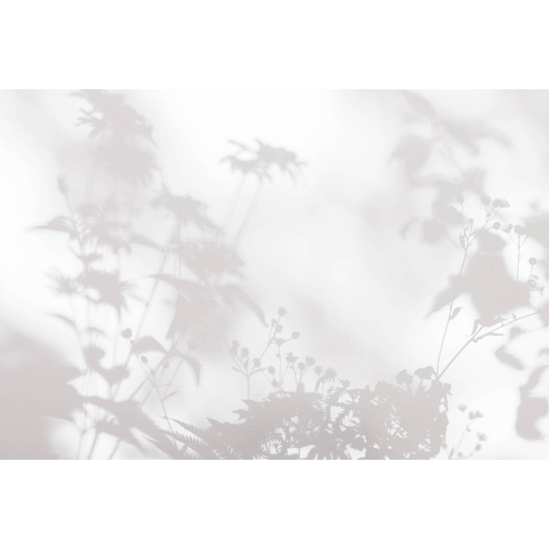 Livingwalls Fotobehang Walls by Patel 3 Shadow Room