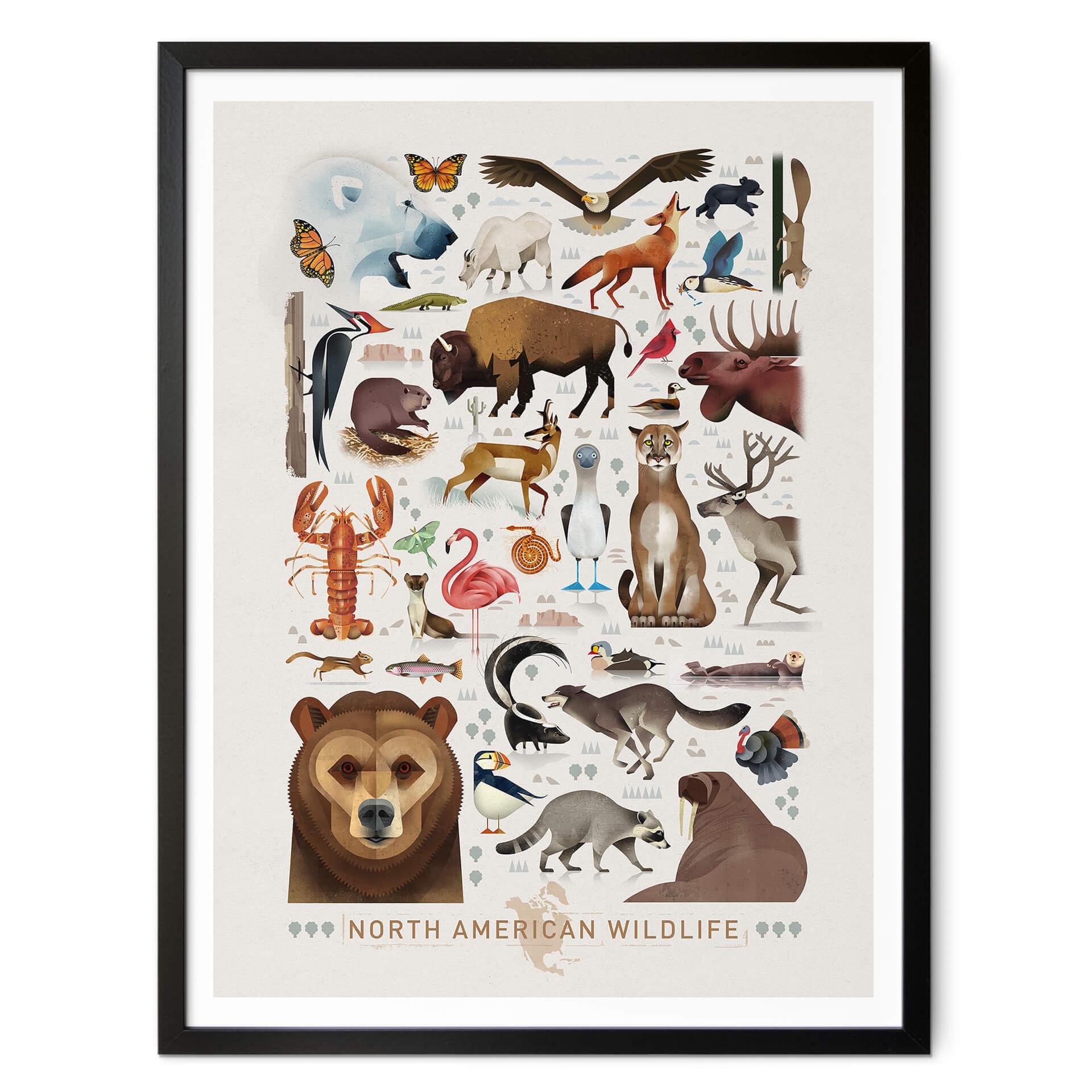 Poster Brown - Nordamerikanska vilda djur