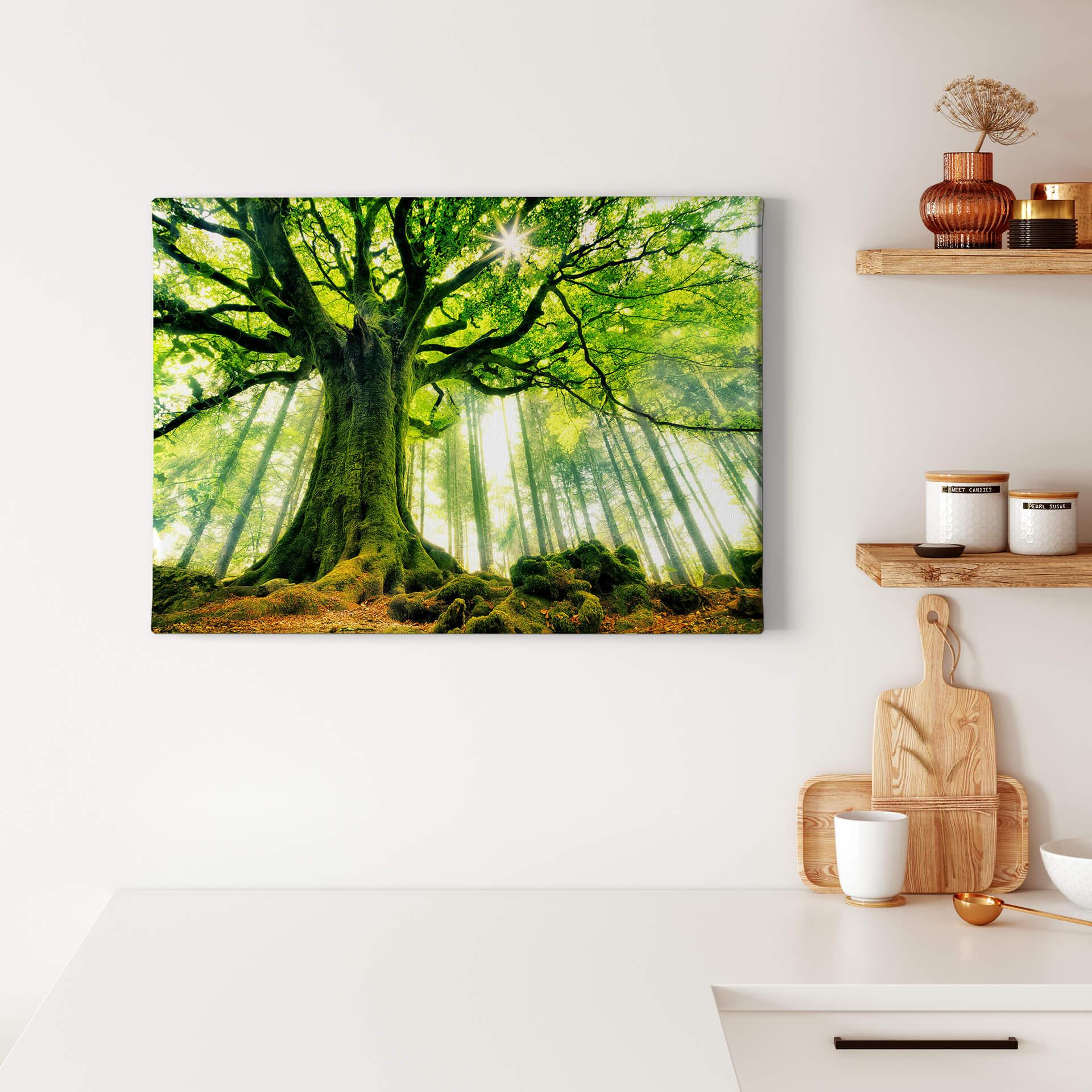 Canvasbillede - Kiciak - Fairytale