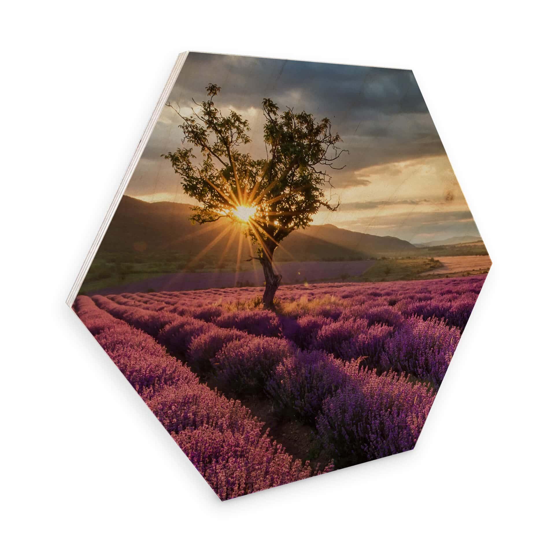 Hexagon Hout Lavendel in de Provence