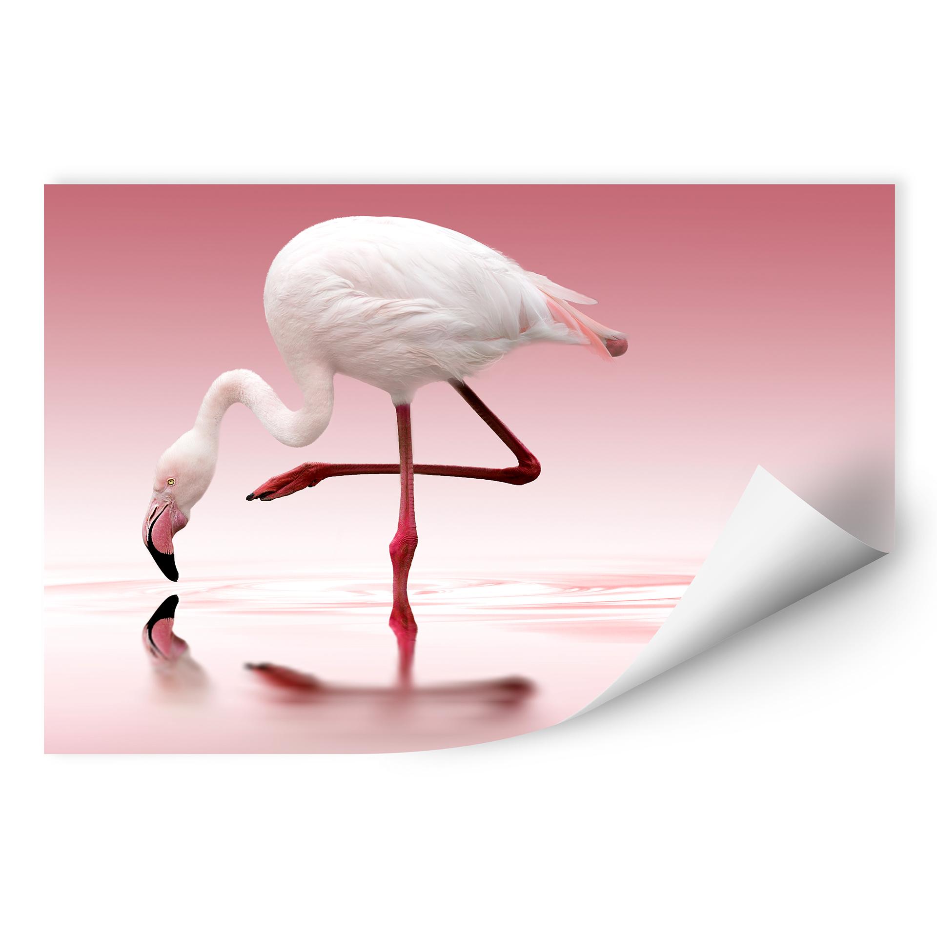 Zelfklevende Poster Reindl - Pink Flamingo