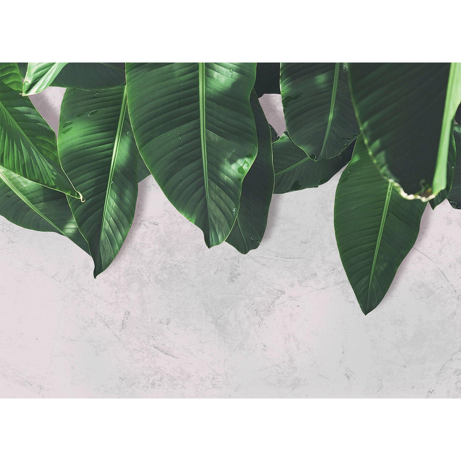 Livingwalls Fotobehang Designwalls Leaves