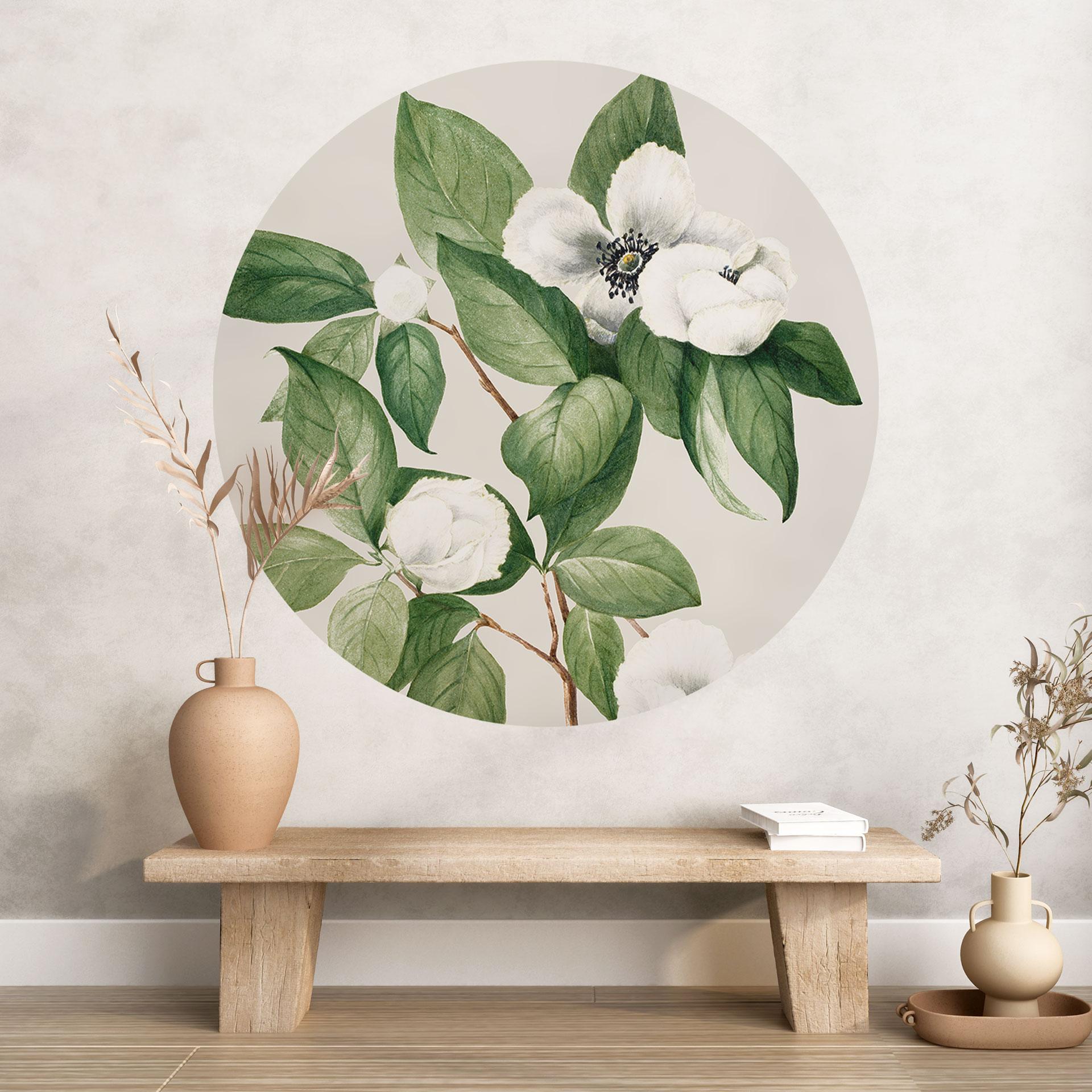 Wallsticker botanik-illustration af en falsk kamelia - Wallcott - Round
