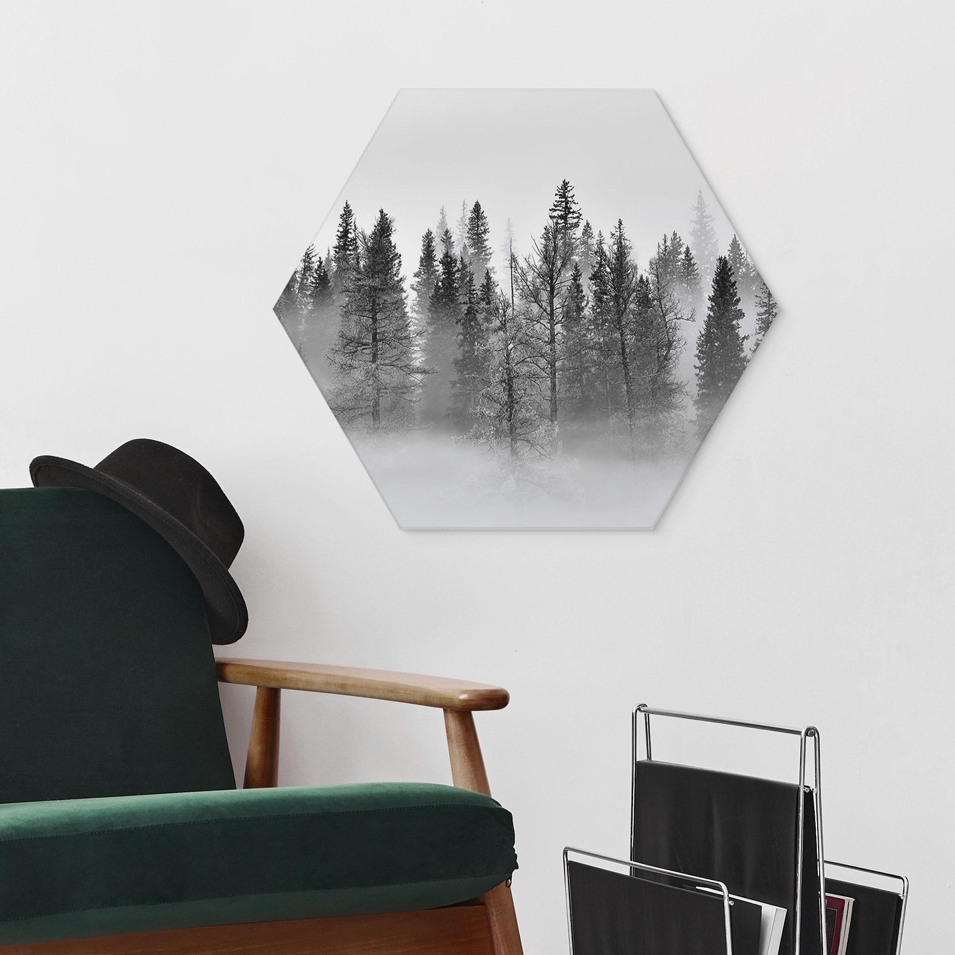 Hexagon Dibond Xu - Foggy Forest