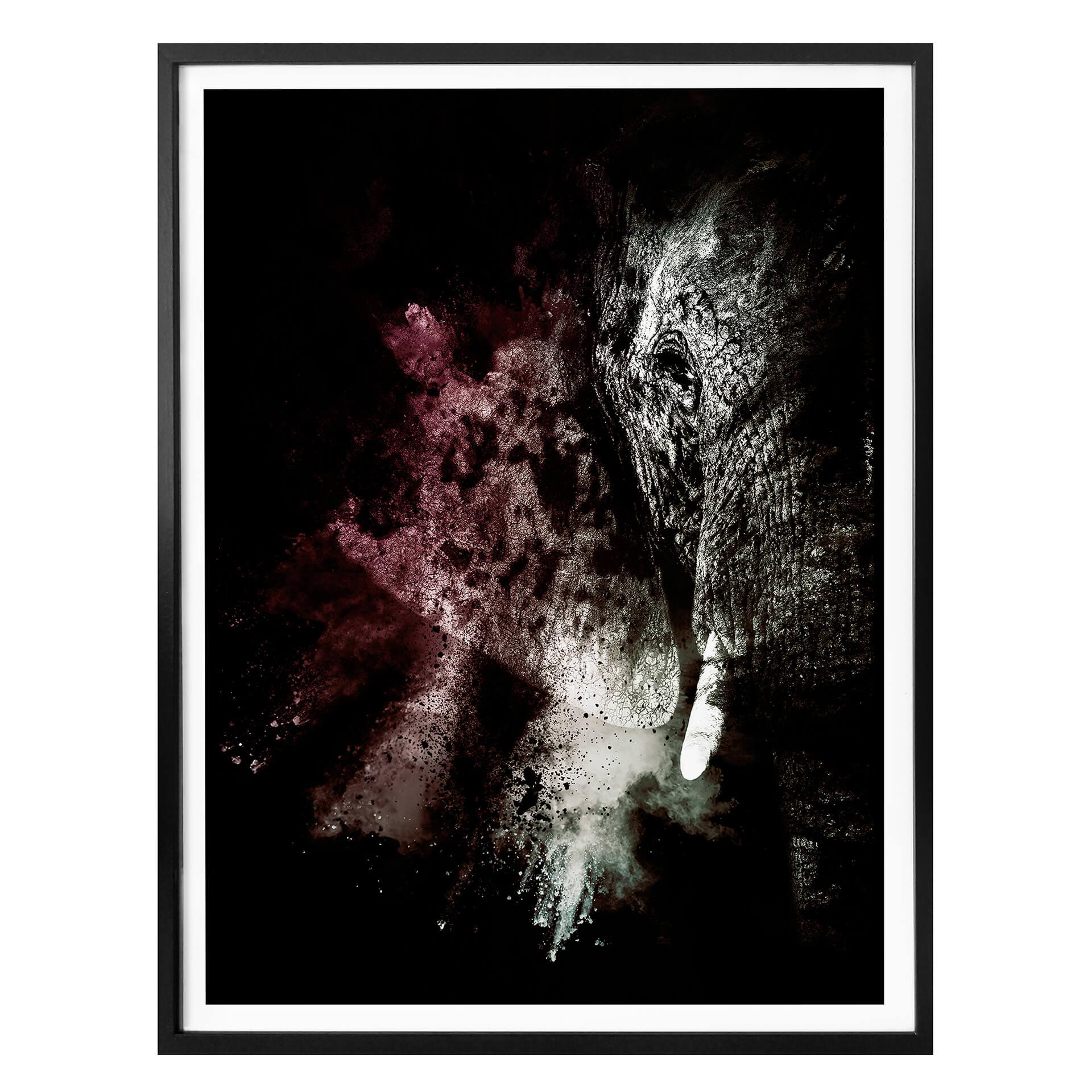 Poster Hugonnard - Vild explosion: Elephant 02