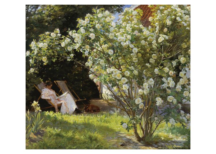 Plakat Marie in the Garden (The Roses) Kunsttryk, Peder Severin Kroyer (50 x 40 cm)