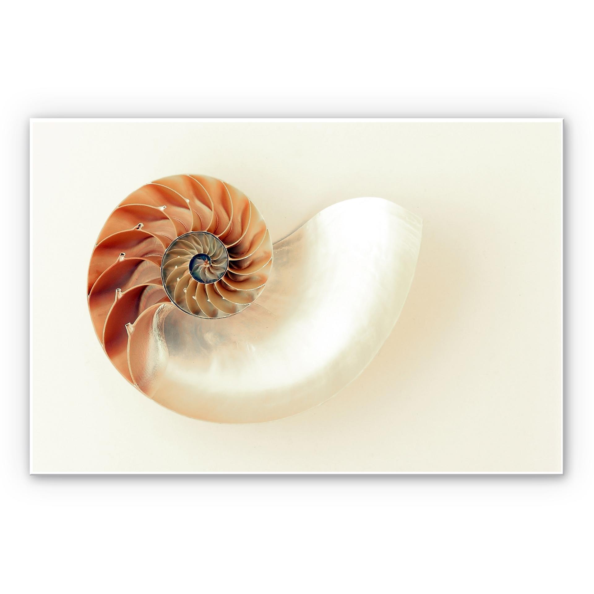 Tableau Forex - Nautilus