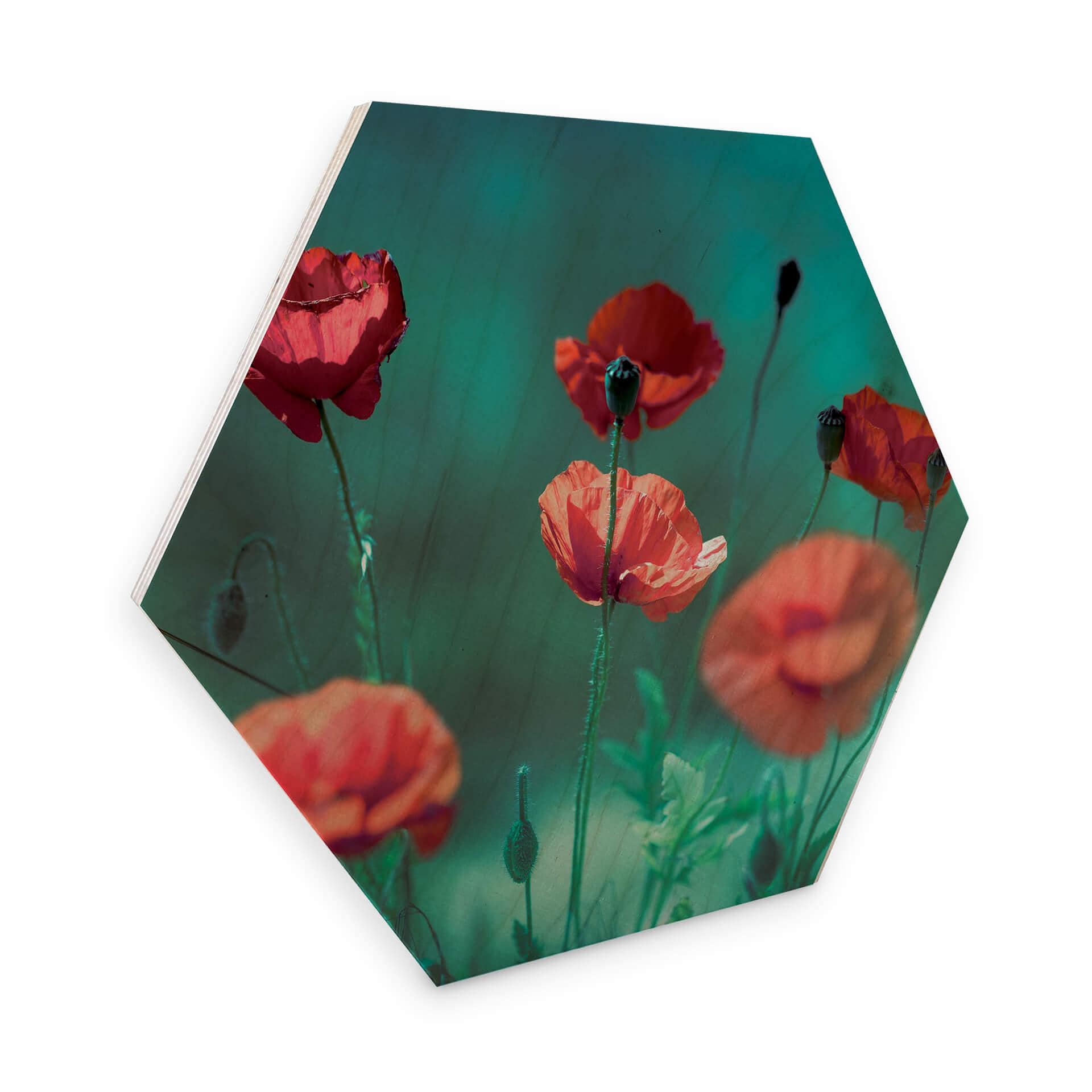 Hexagone -Placage bois de bouleau Delgado - Coquelicots aigues-marines