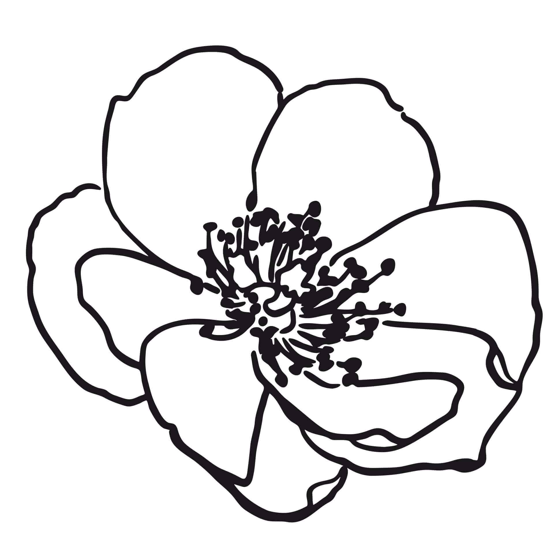 Muursticker Bloemenpracht 02