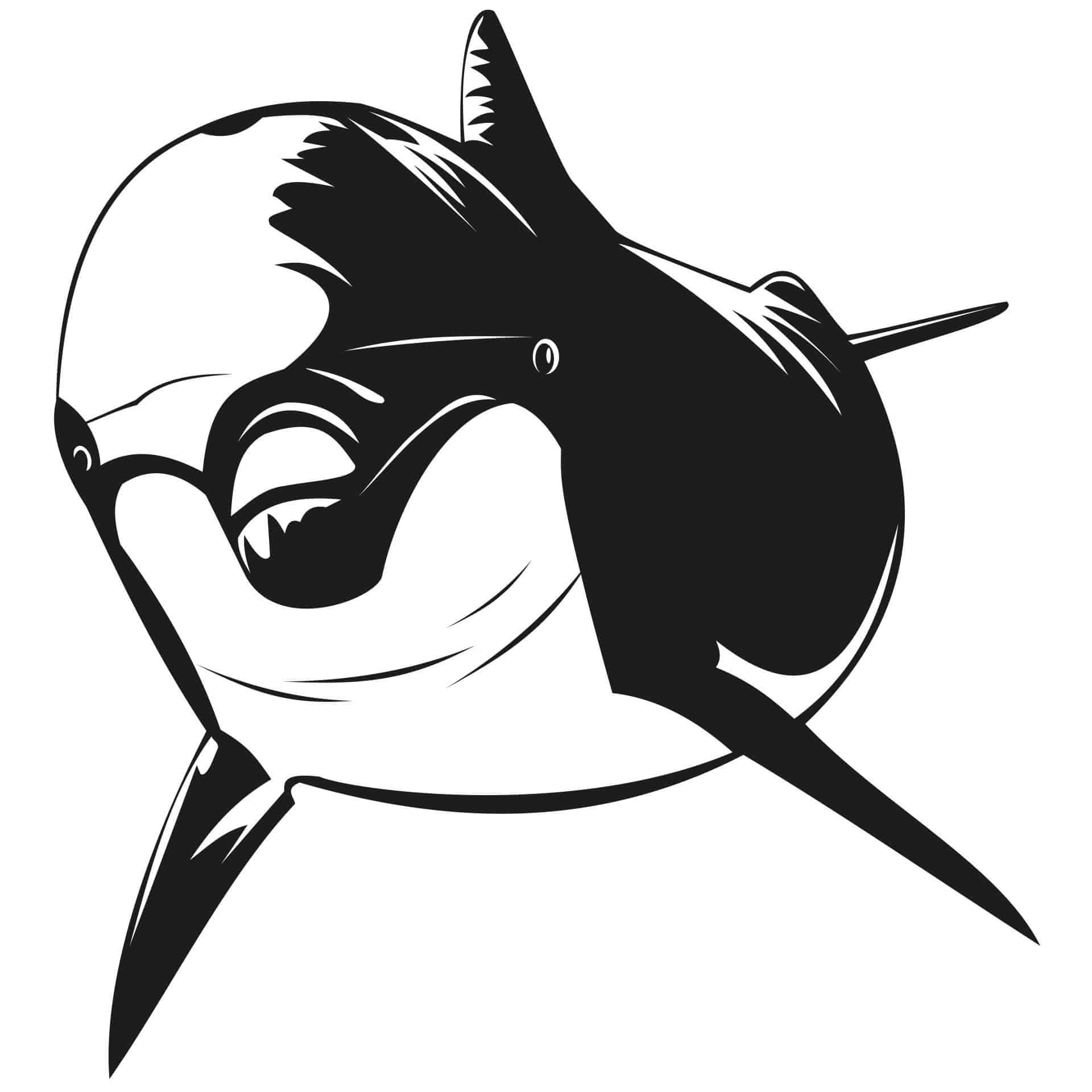 Delfino 2