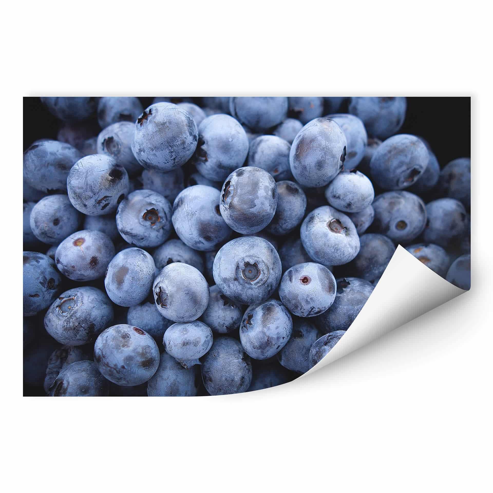 Zelfklevende Poster - Blueberries