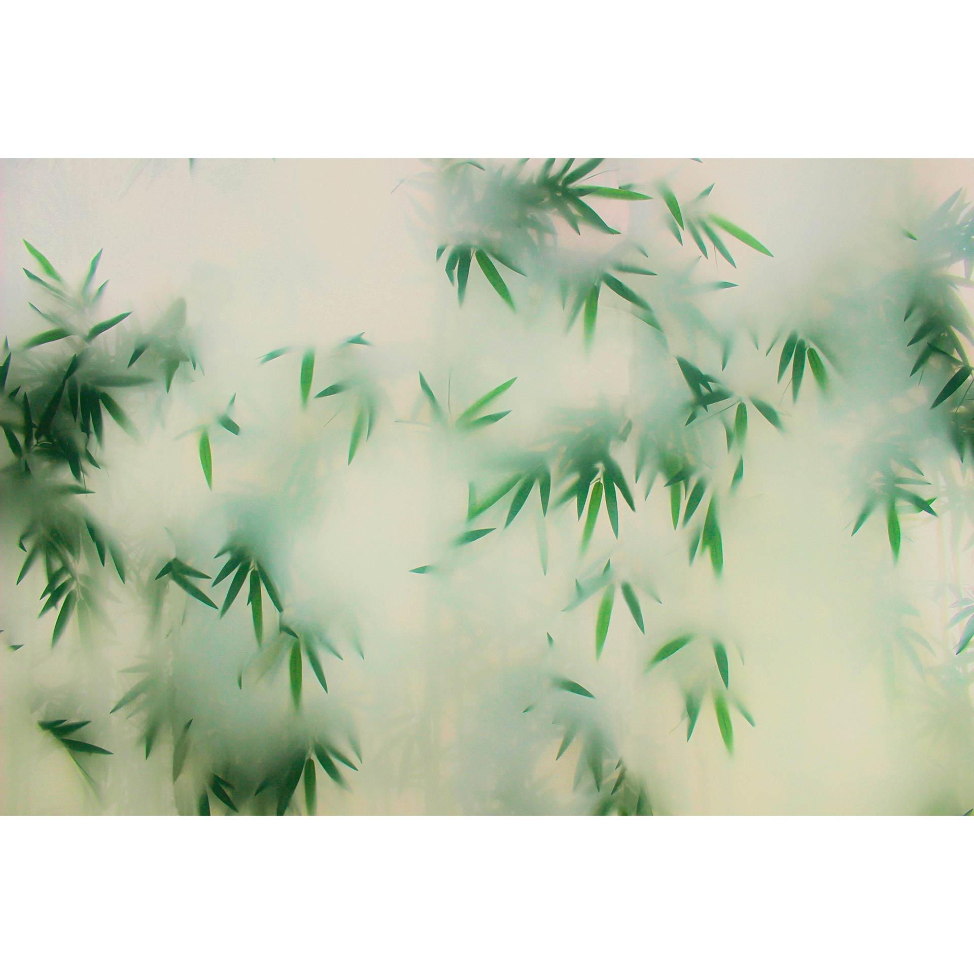 Livingwalls Fotobehang Walls by Patel 3 Panda's Paradise