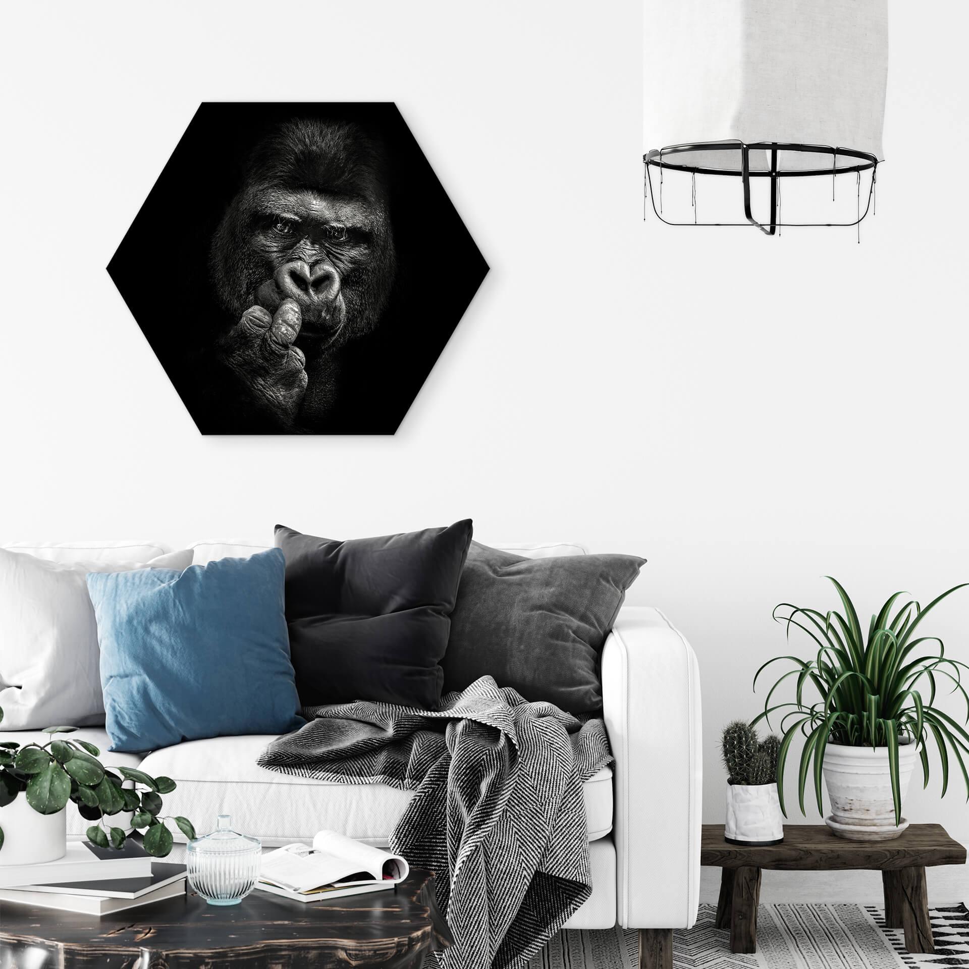 Esagoni Alu-Dibond Meermann - Gorilla