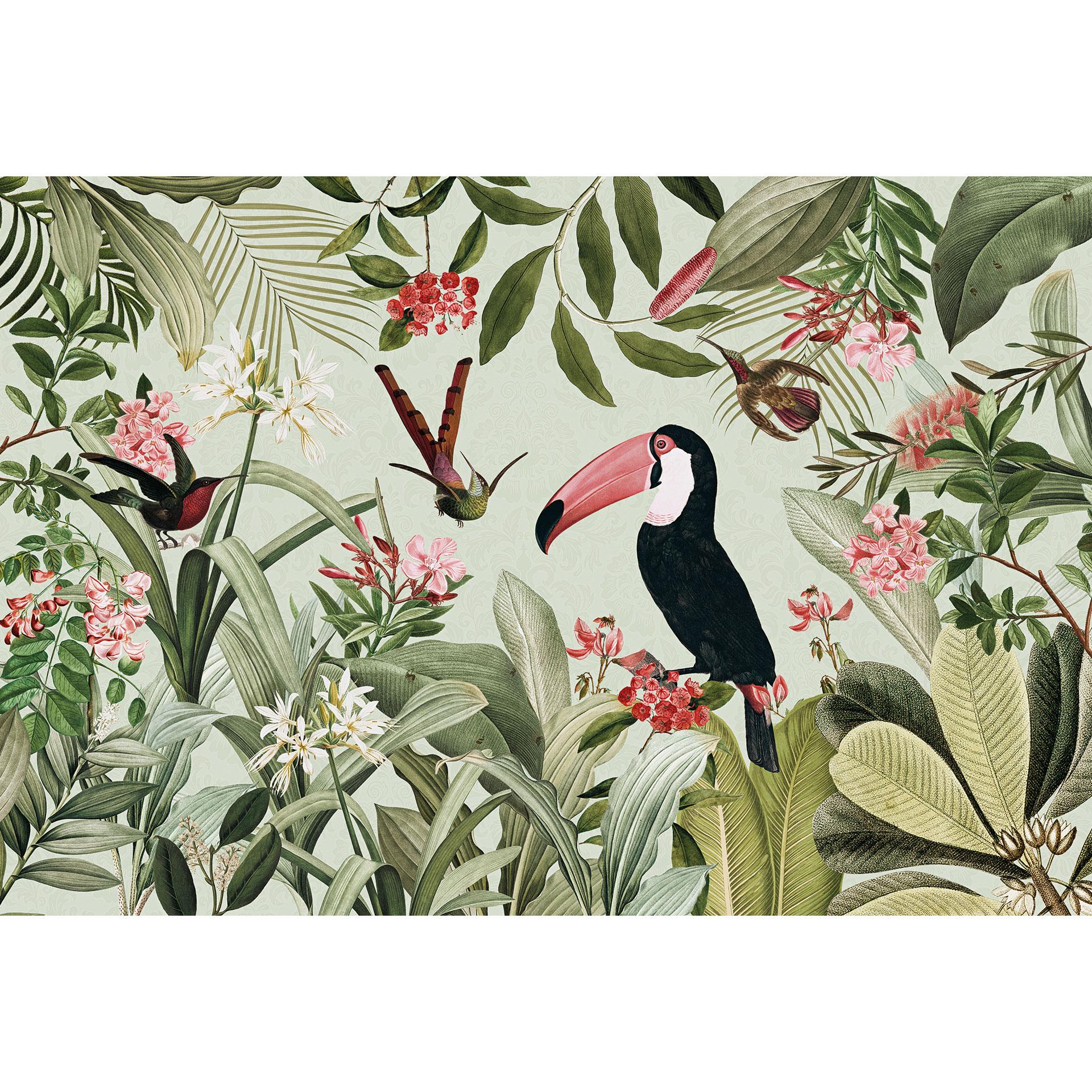 Fotomurale Tucano in una giungla paradisiaca - UN Designs
