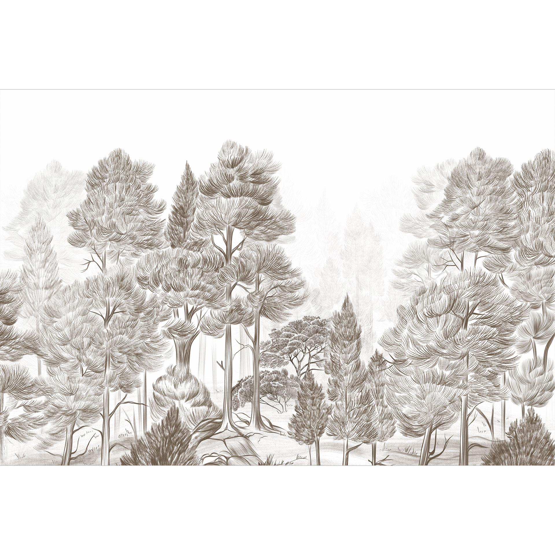 Fototapete Wald mit Waldlandschaft in Beige - Ms Tiff