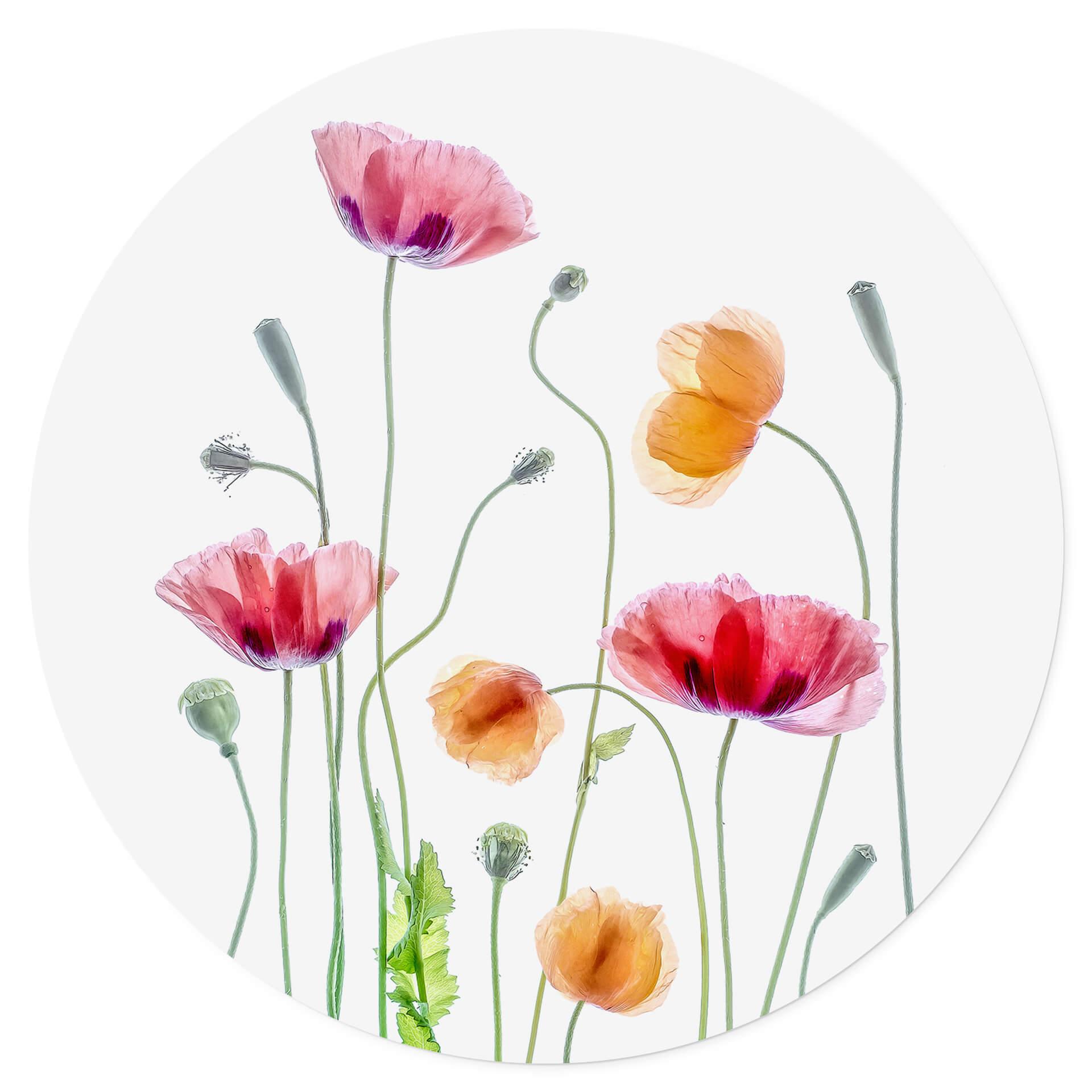 Adesivo murale Disher - Colourful Poppies