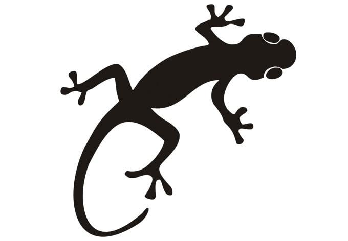 Muursticker Hagedis