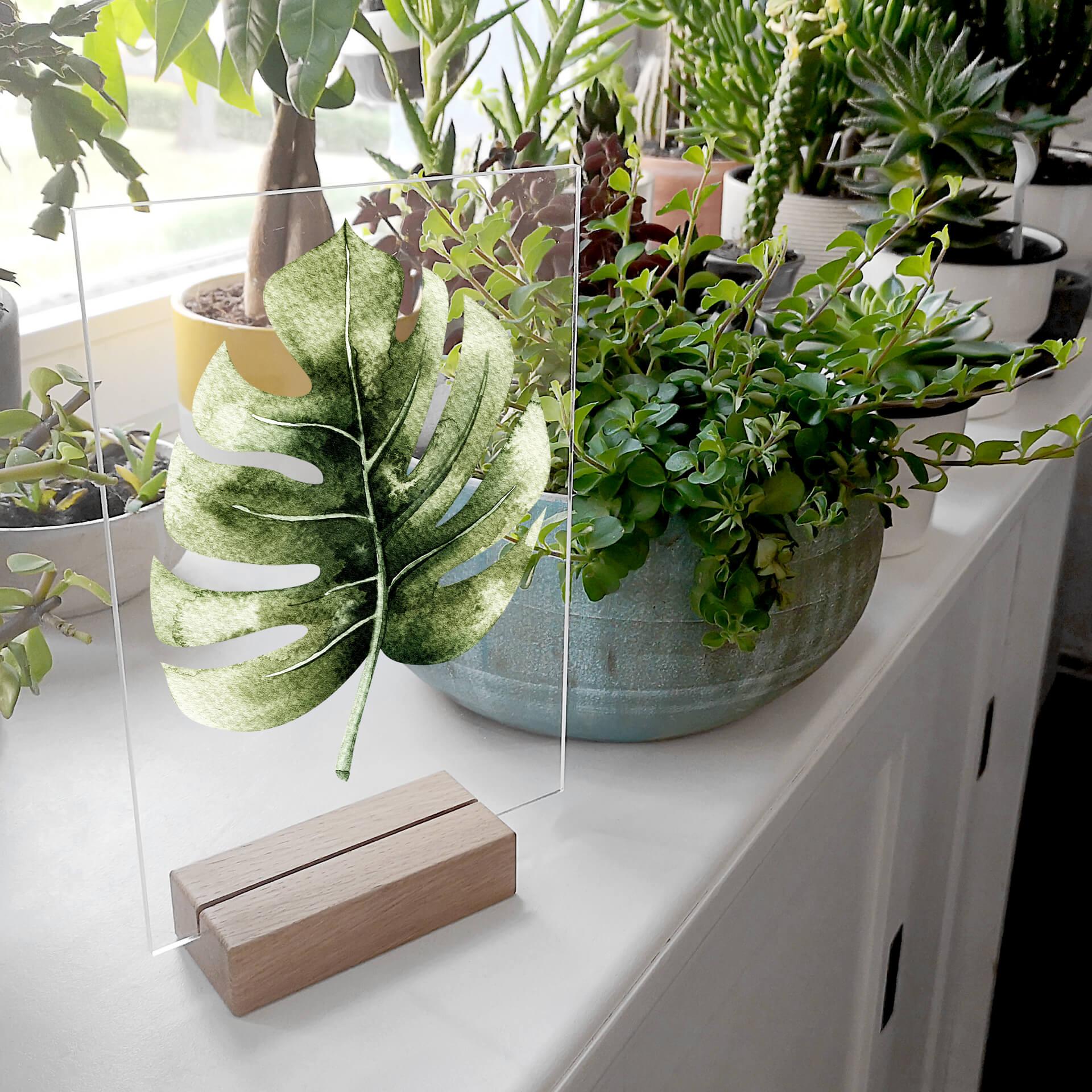 Acrylglas Tafeldecoratie Kvilis - Monstera