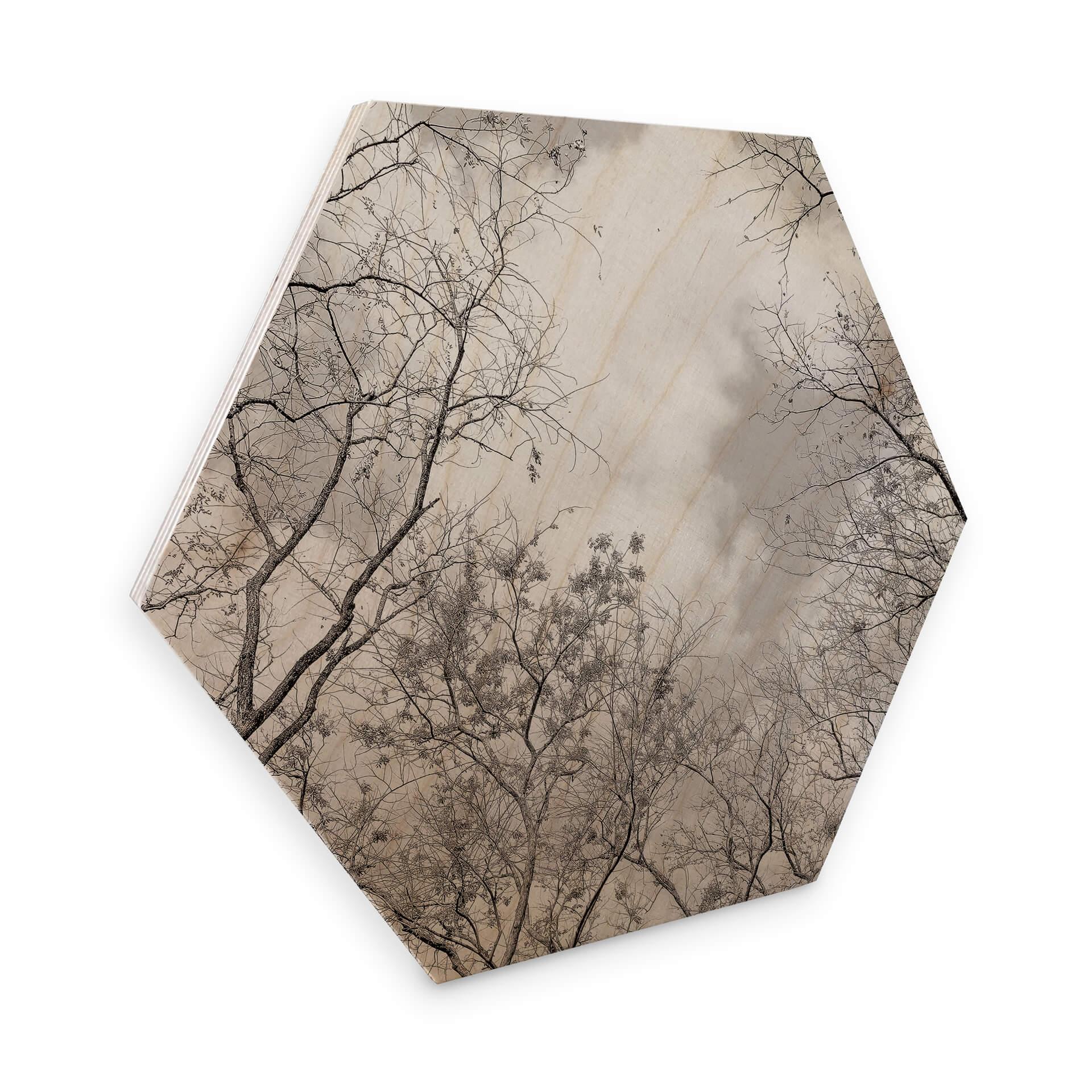 Hexagon Hout High in the Trees