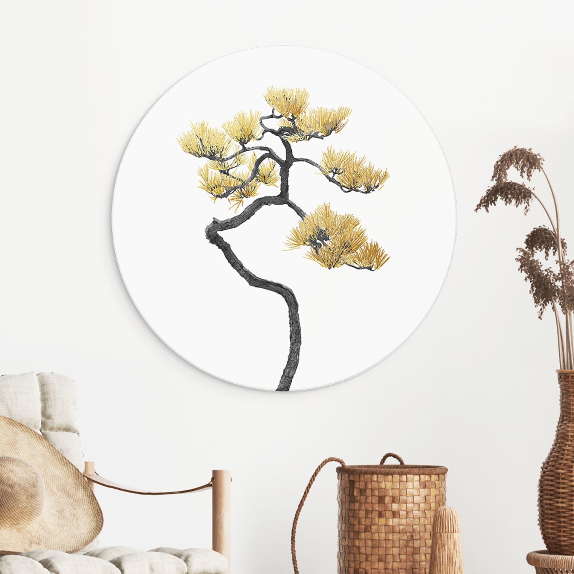 Vægcirkel Bonsai i balance - Amini – print på aluminium (Alu-Dibond)