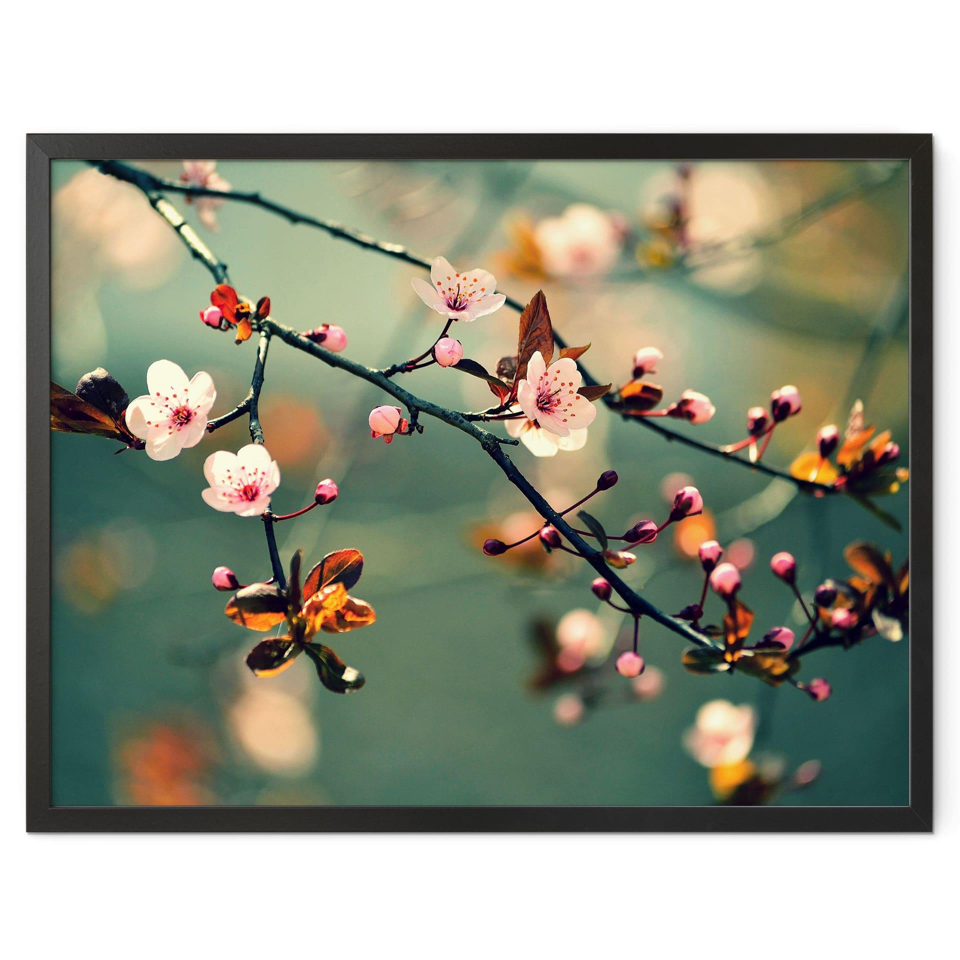 Póster de Spring Awakening