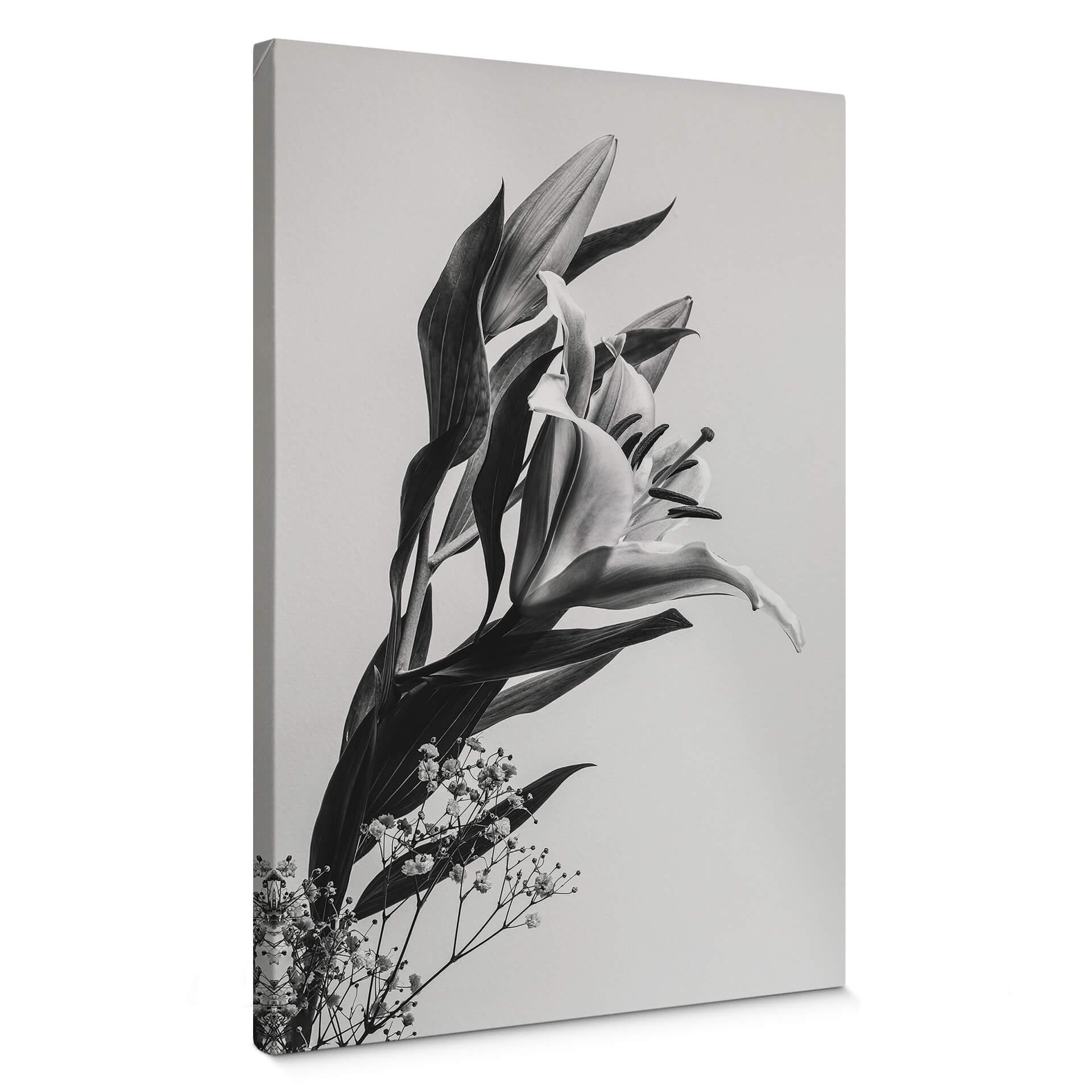 Lienzo Jo - Lirio encantador en blanco y negro
