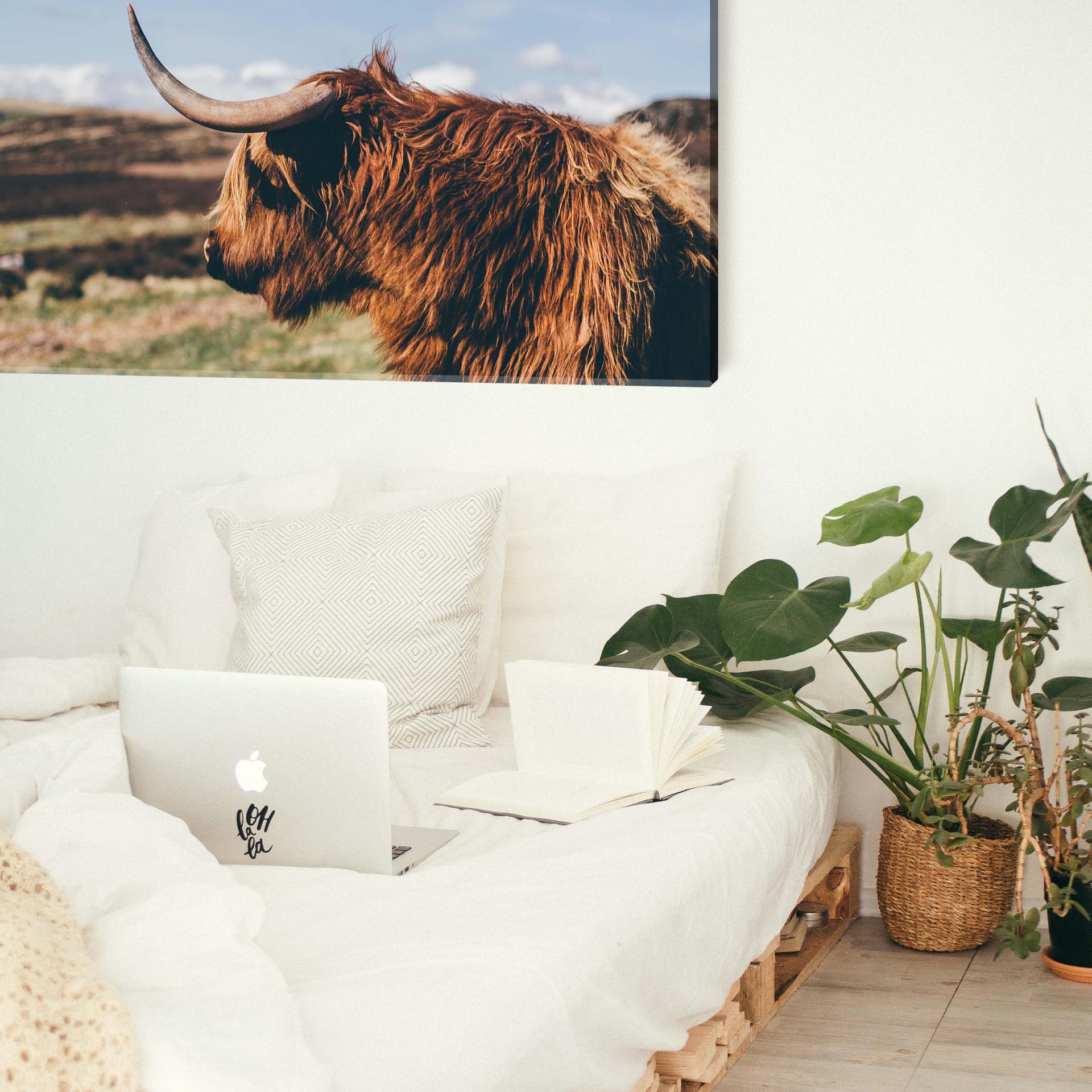 Canvas Highland Cow 02