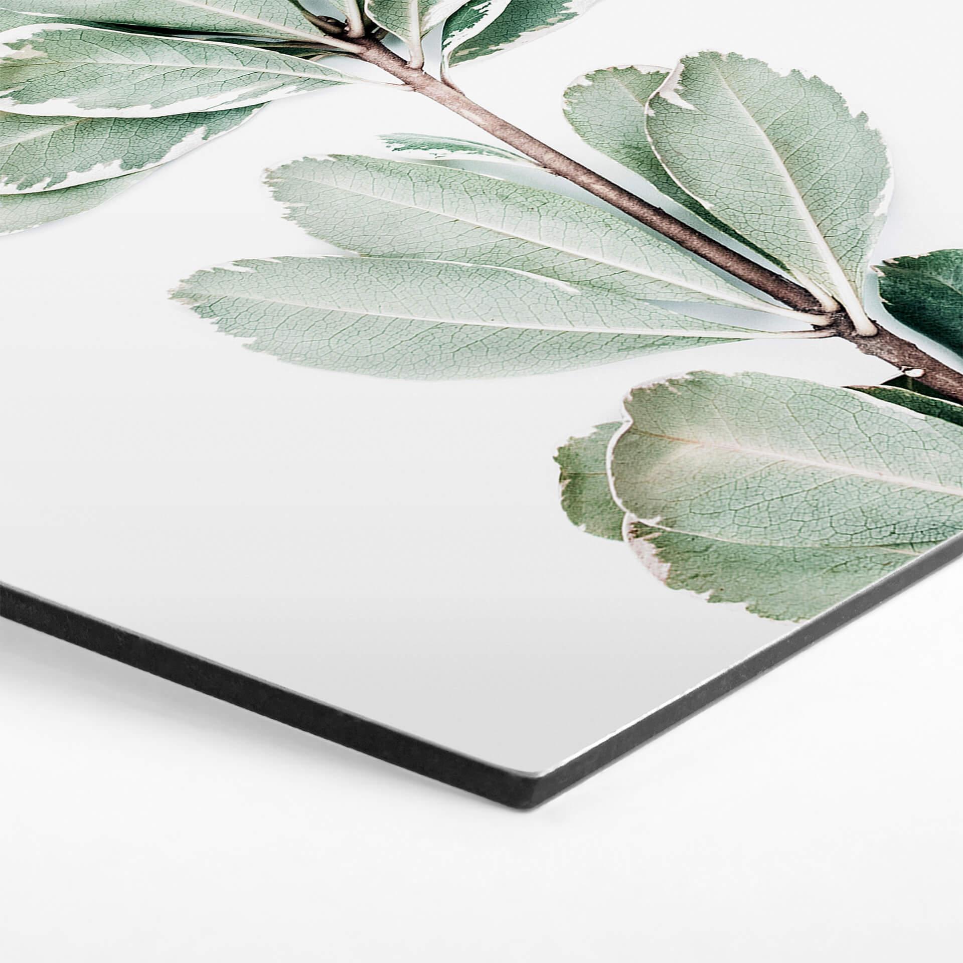 Hexagon Dibond Sisi & Seb - Botanisch