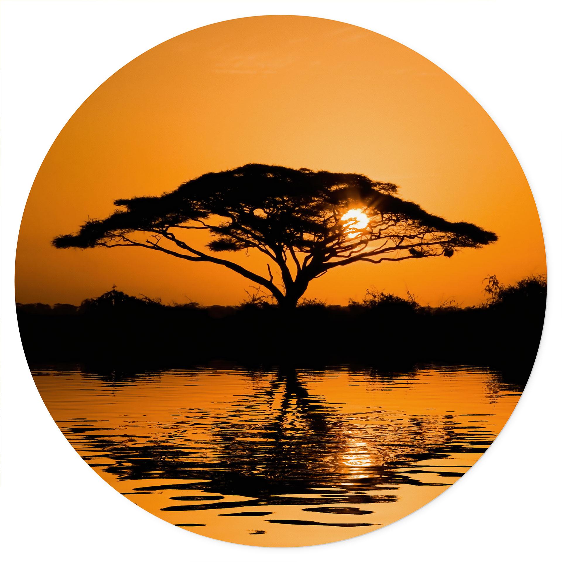 Vinilo decorativo África | Paisaje al atardecer - Redondo