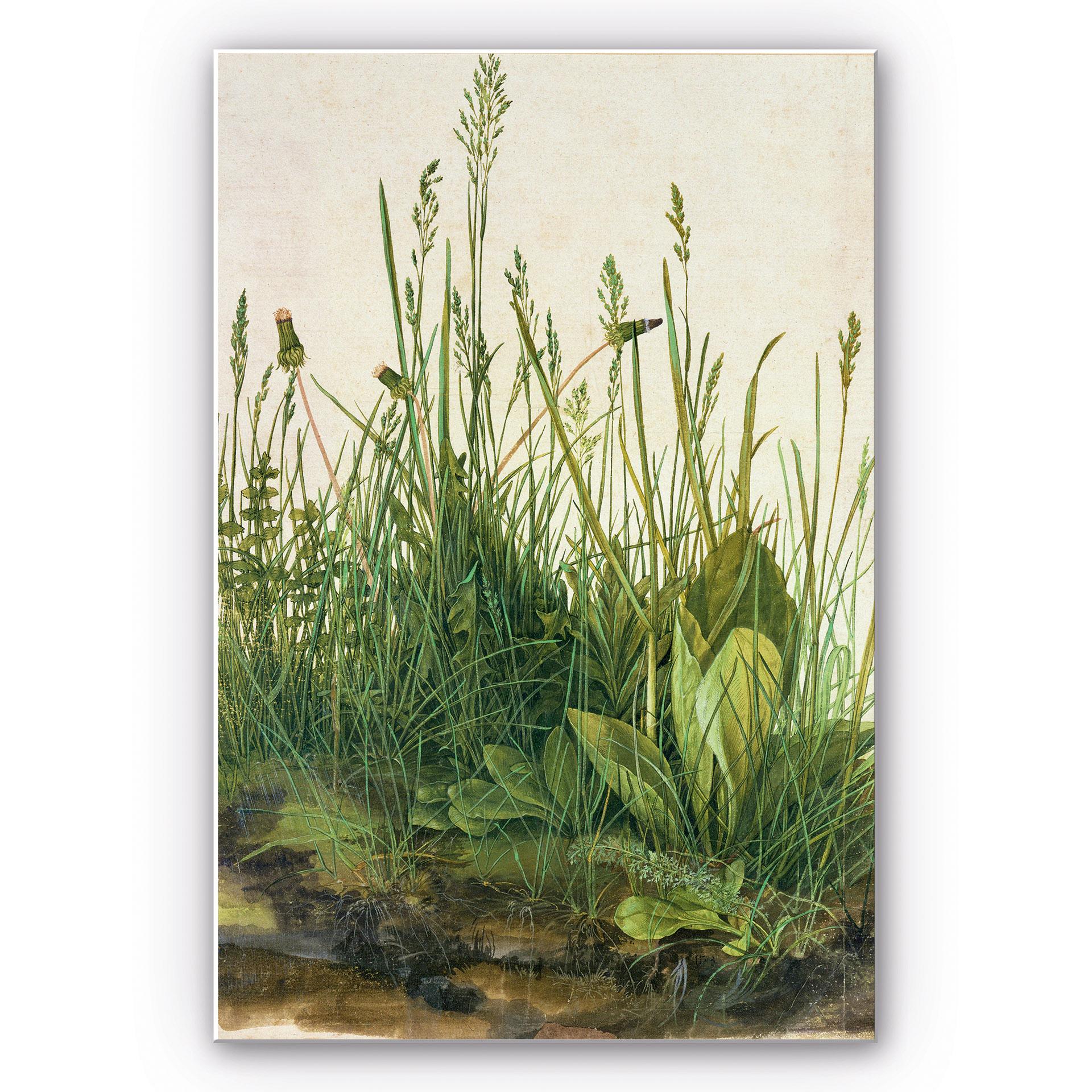 Wandbild Dürer - Das große Rasenstück
