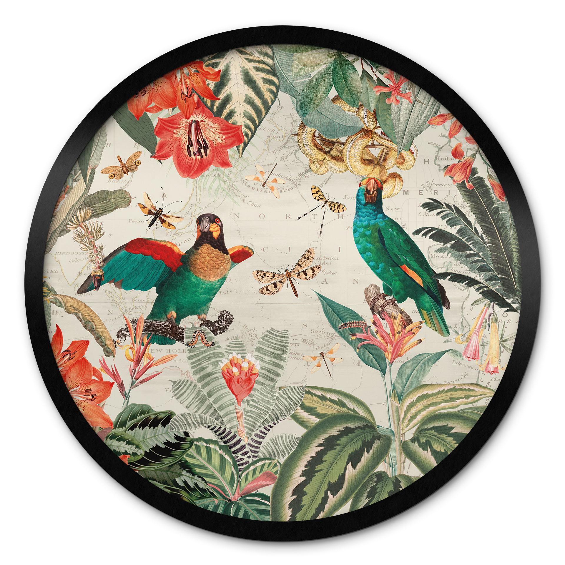 Plakat Eksotisk jungle med papegøjer - UN Designs