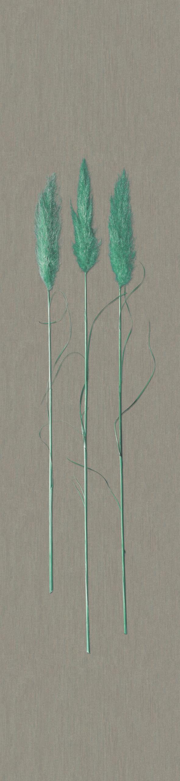 Non-woven tapet Naturlig Opulens Beige Grafisk 3,30 x 0,70 cm