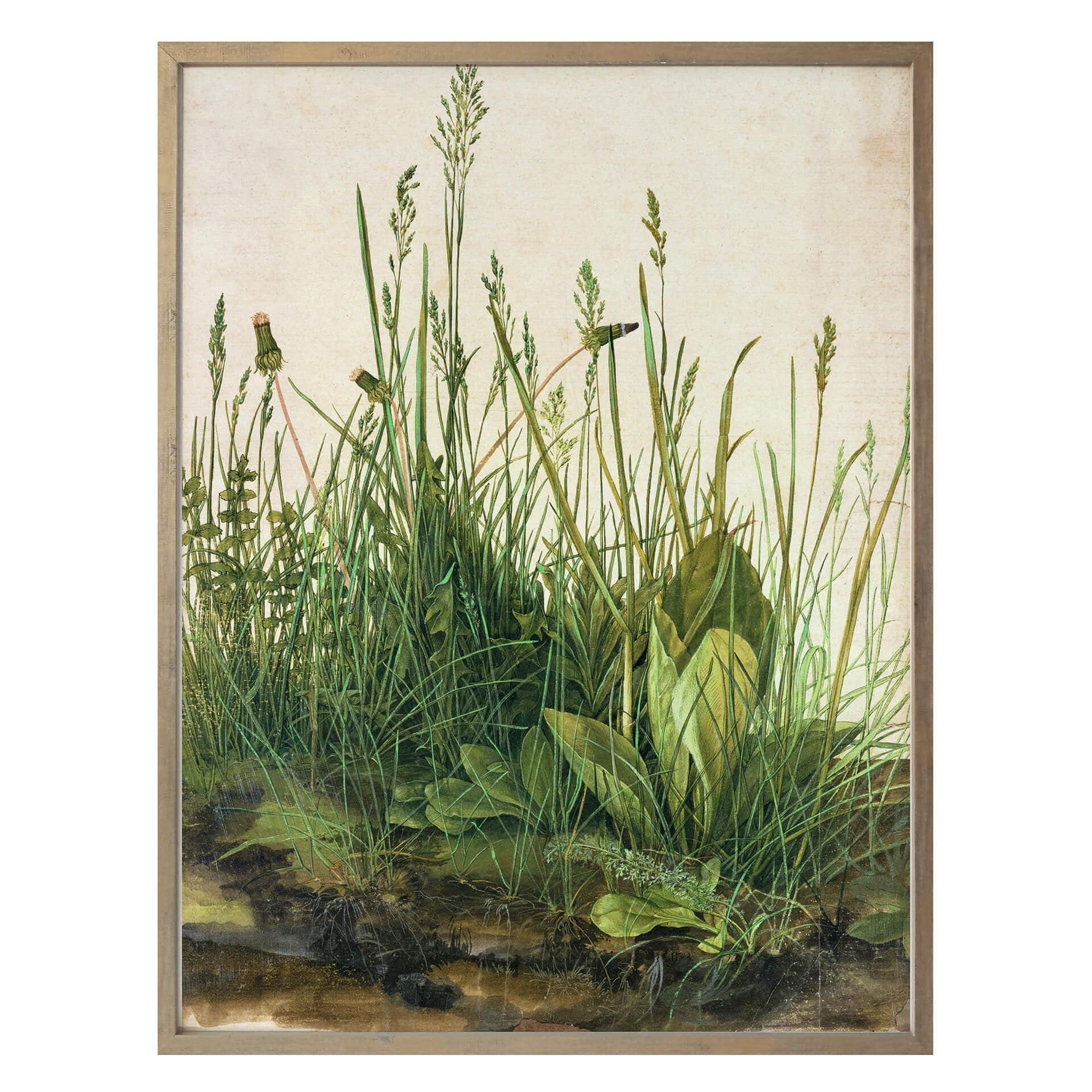 Poster Dürer - Das große Rasenstück - aus der LandIDEE Wohnen & Deko Kollektion