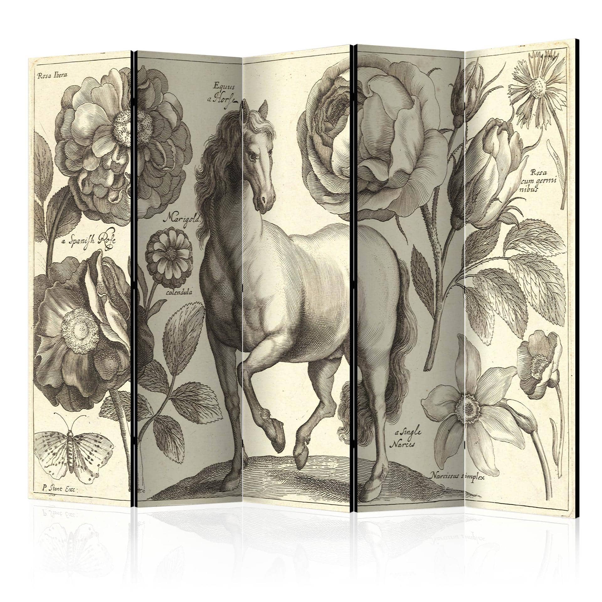 Screen room divider - Hest, 5-delt - 225x172 cm