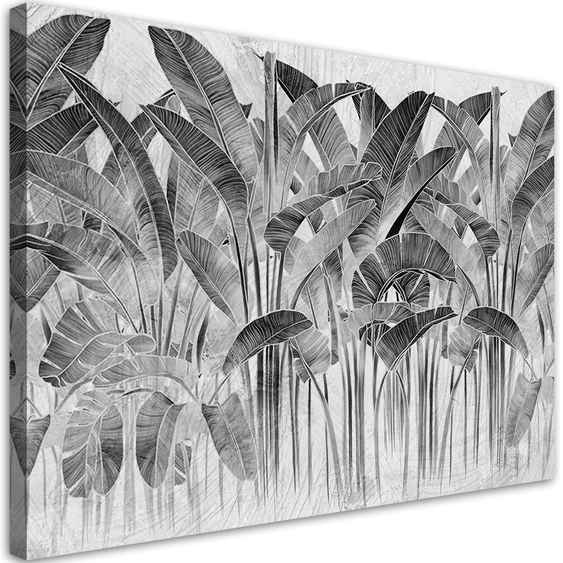 Canvasbillede, Grå bananblade