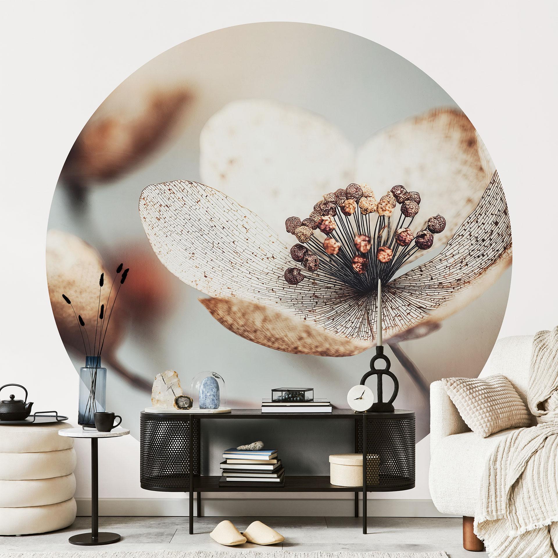 Fototapet med blomster Boho tørret blomst makro - Treechild - rund - selvklæbende/ikke-vævet