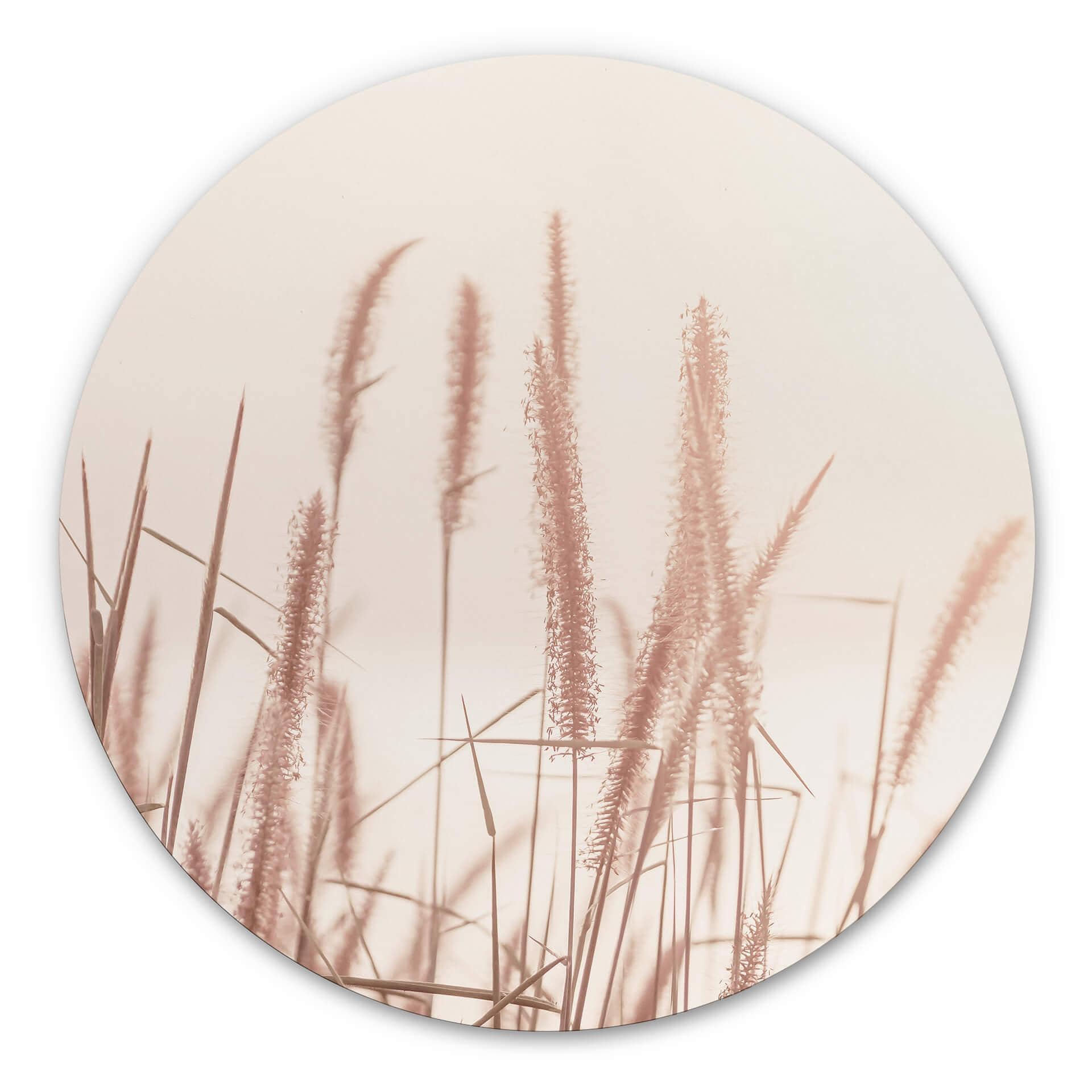 Wandcirkel Grass at Sea