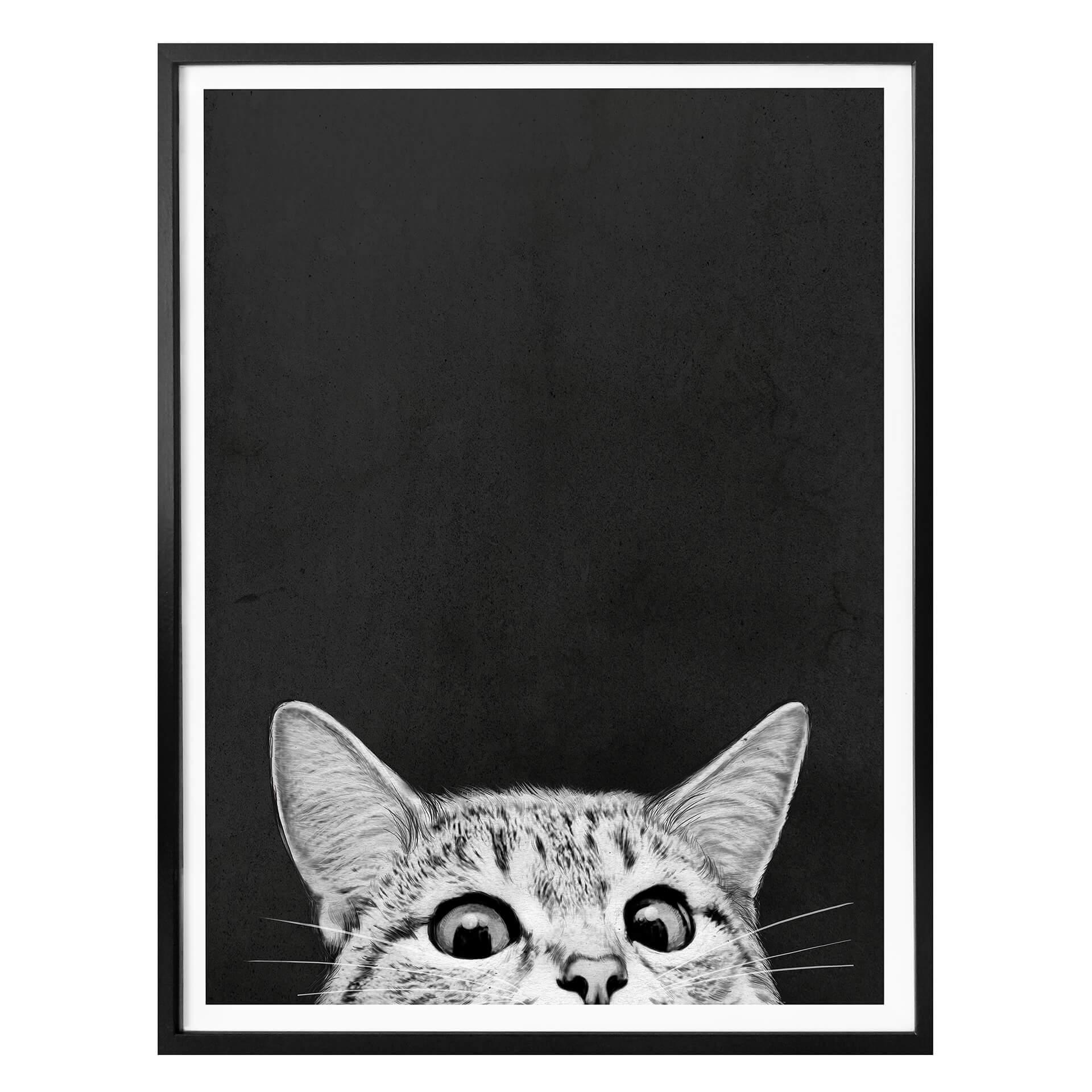 Póster Graves - ¿Ya te has dormido?