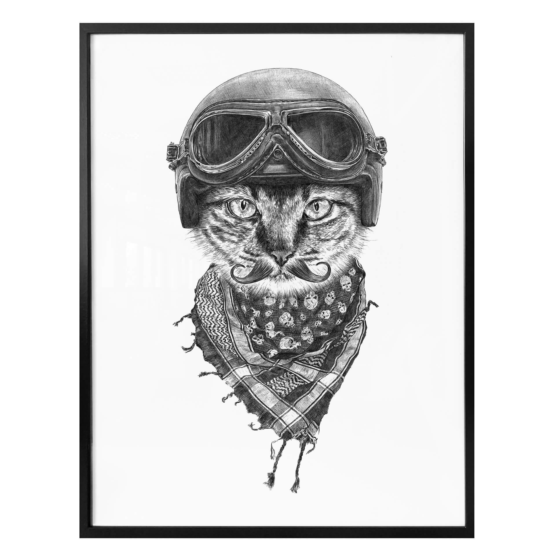 Poster Kools - Biker Cat