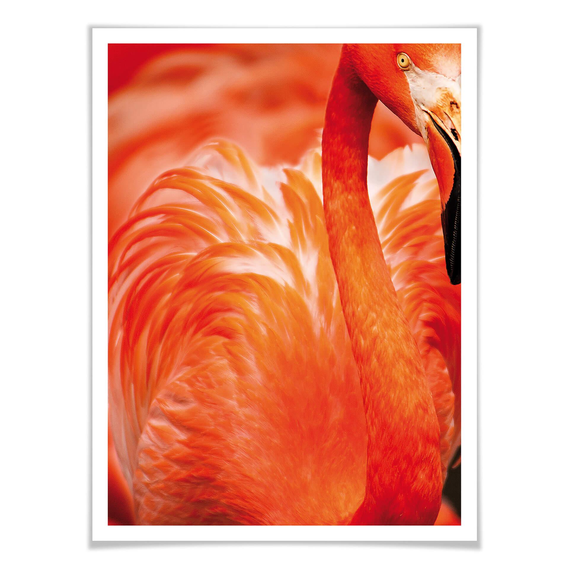 Póster del flamenco