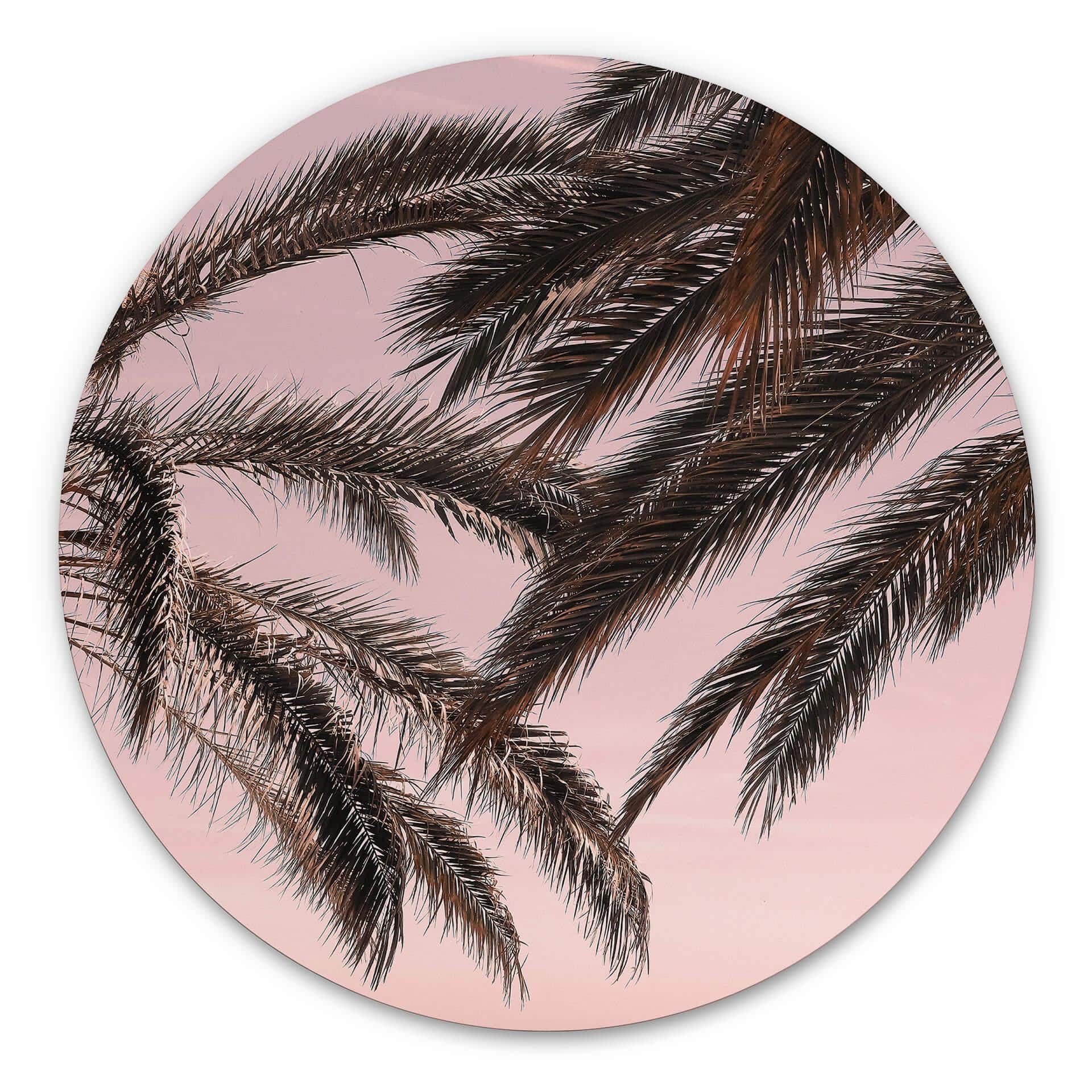 Tableau sur alu-Dibond rond 1X Studio - Palmiers