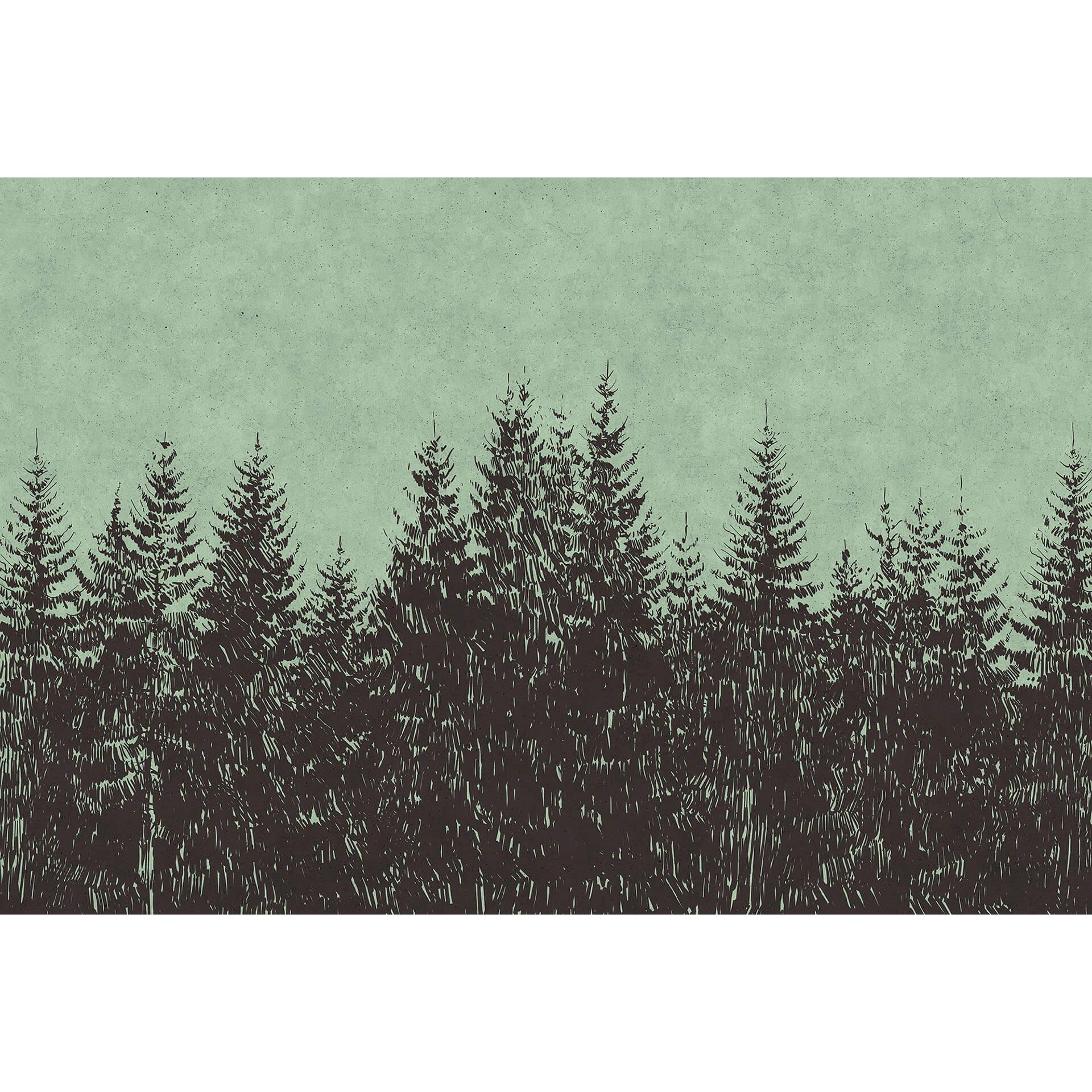 Livingwalls Fotobehang Walls by Patel black forest 2