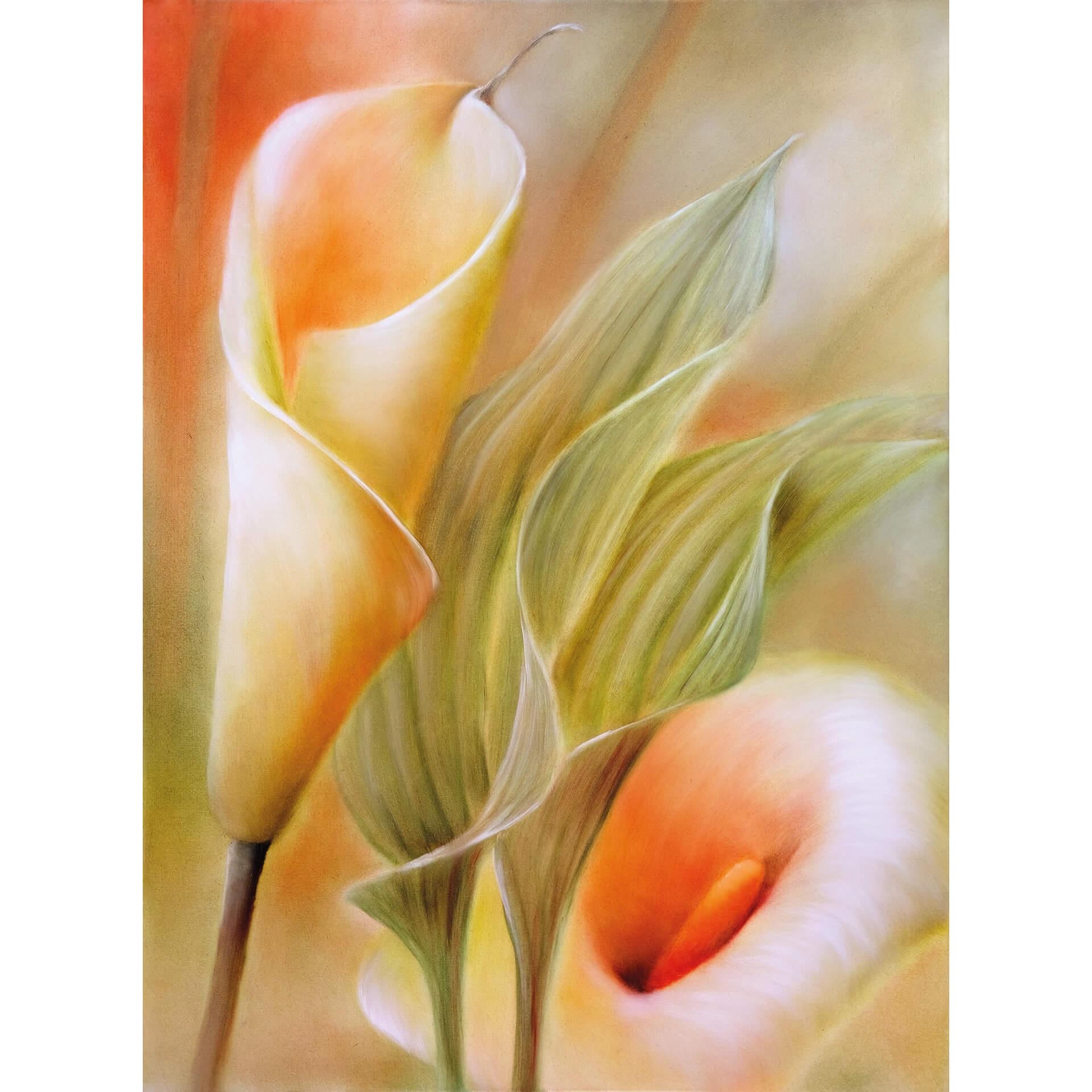 Fotobehang Schmucker - Callas