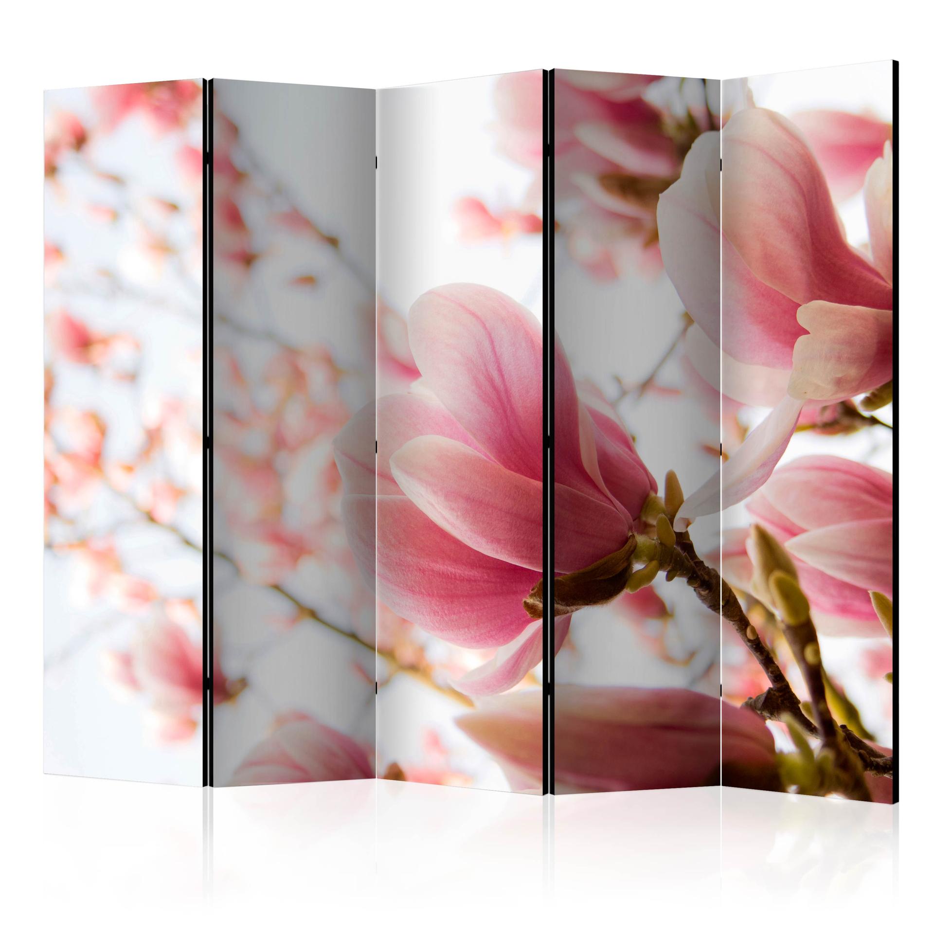 Schermo divisorio - Magnolia rosa, 3 pezzi